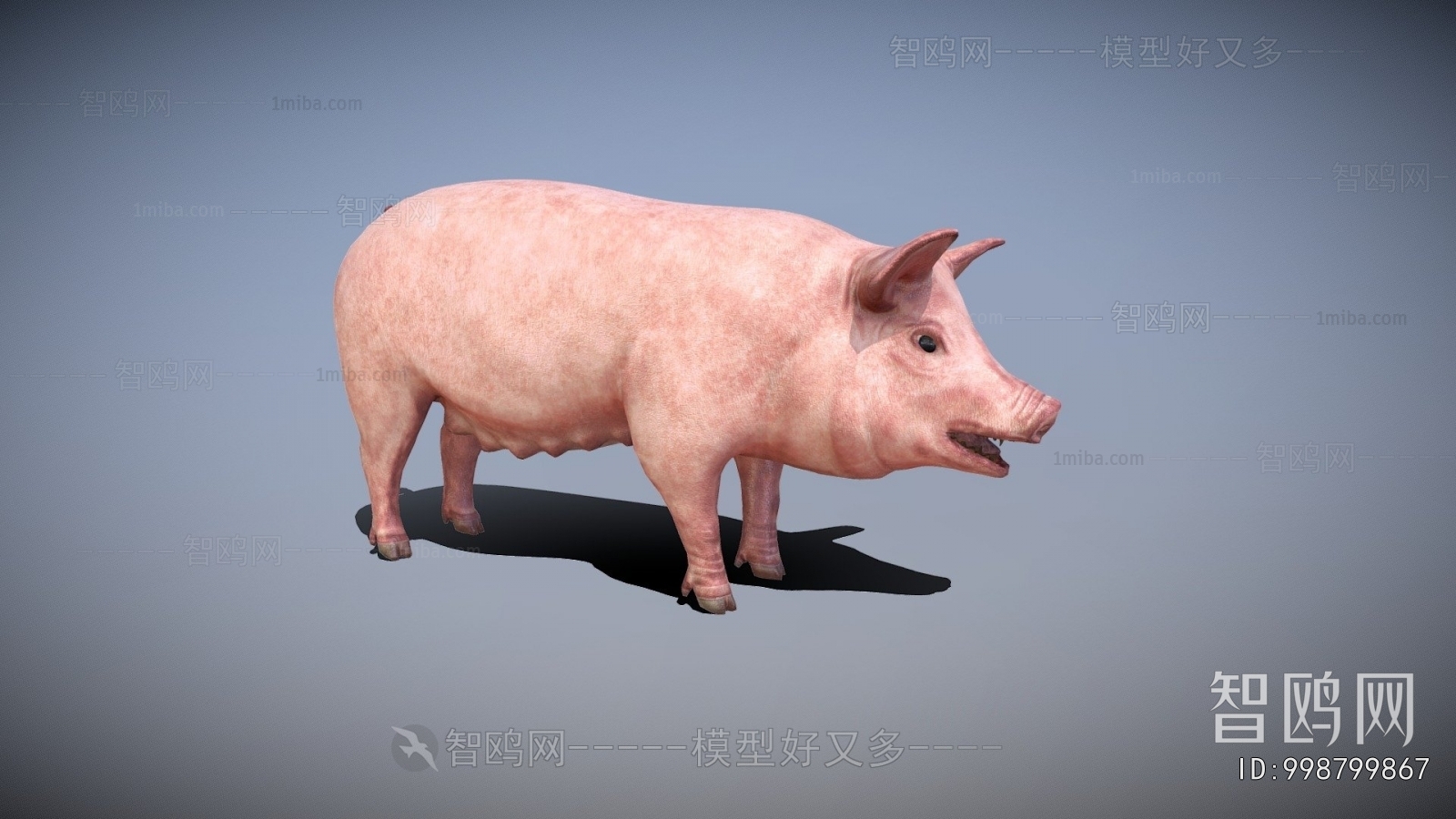 Modern Animal Pig