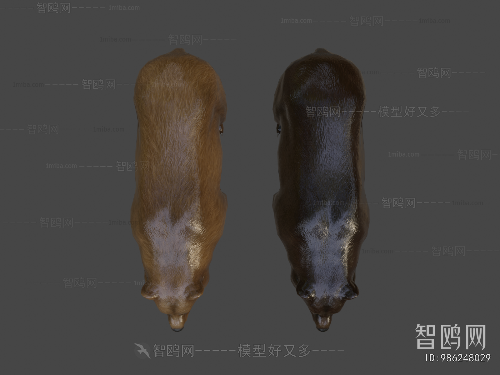 Modern Mammal
