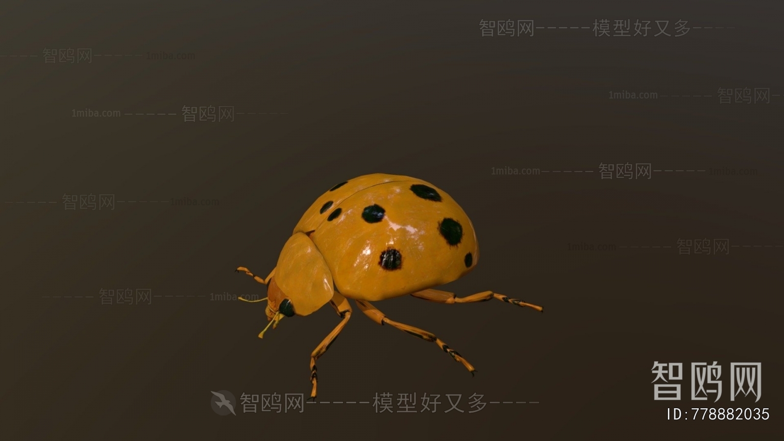 Modern Other Animals