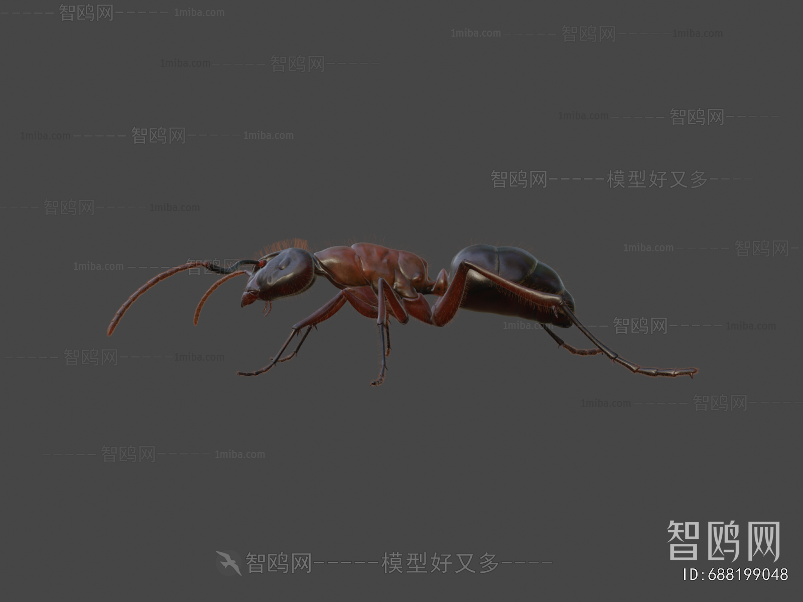 Modern Animal