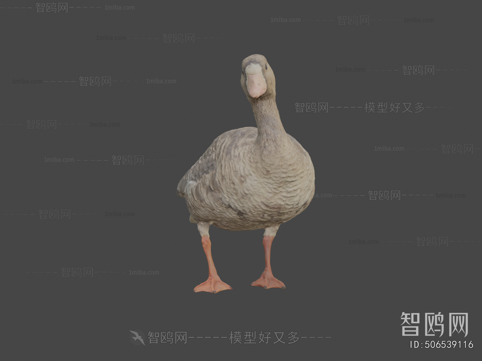 Modern Animal