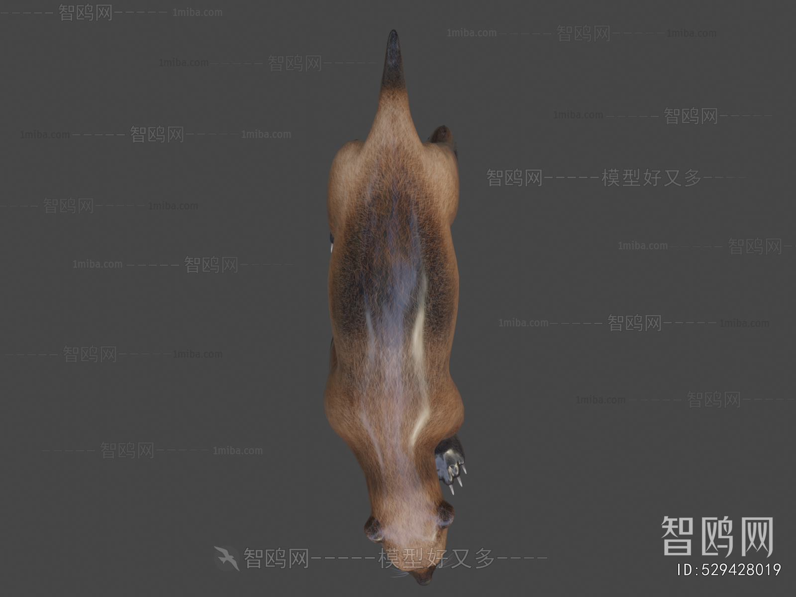Modern Animal