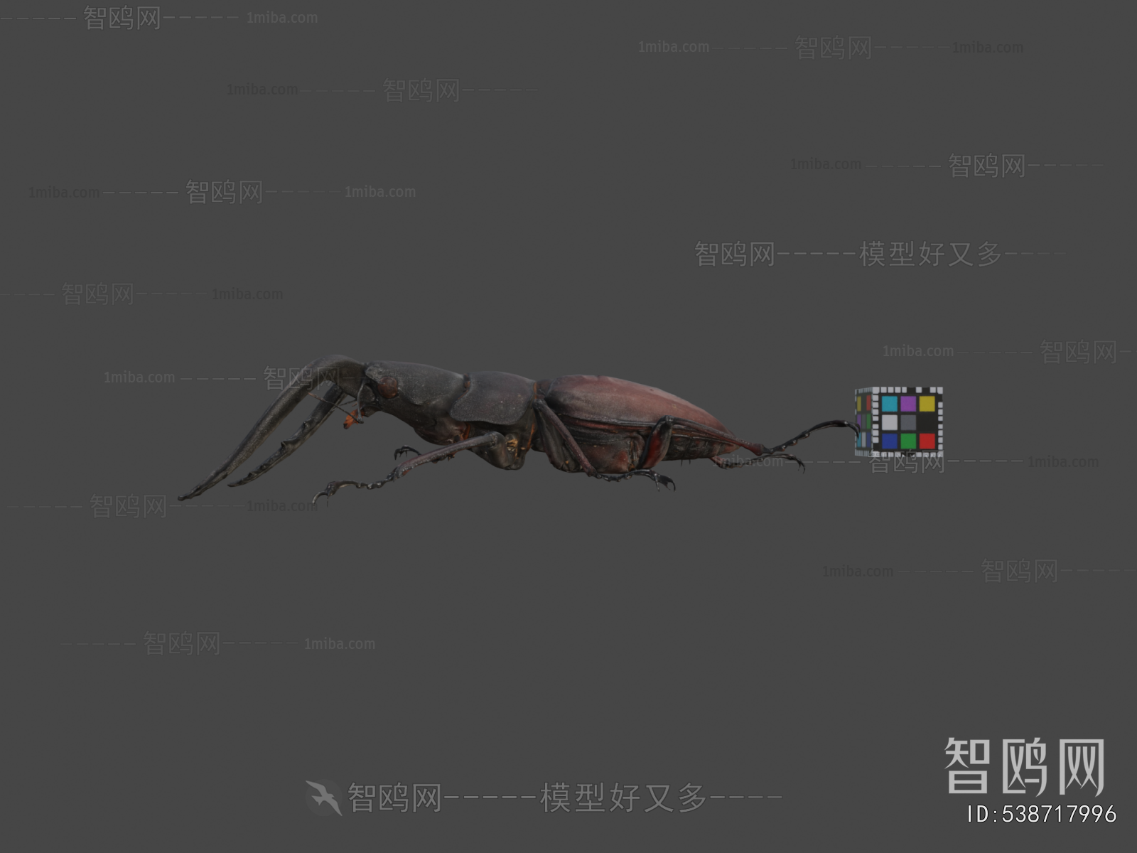 Modern Animal
