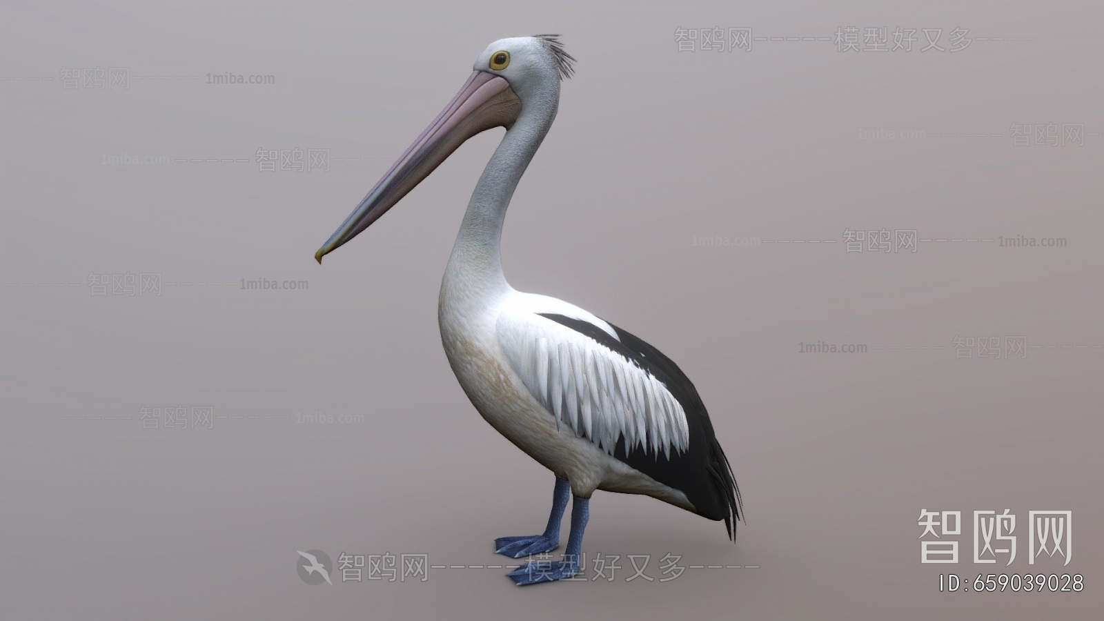 Modern Flying Animals