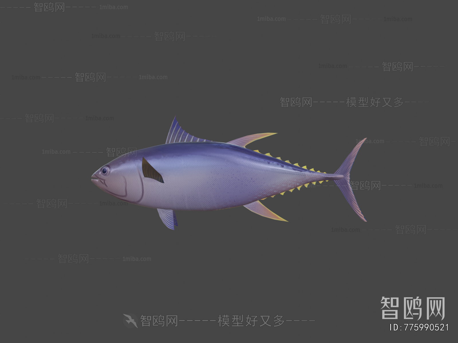 Modern Aquatic Animals