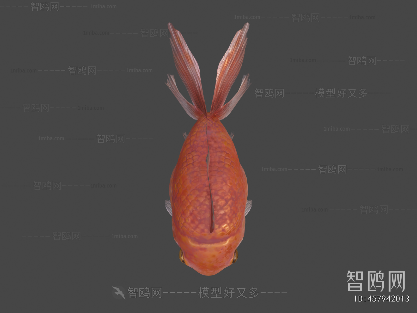 Modern Aquatic Animals
