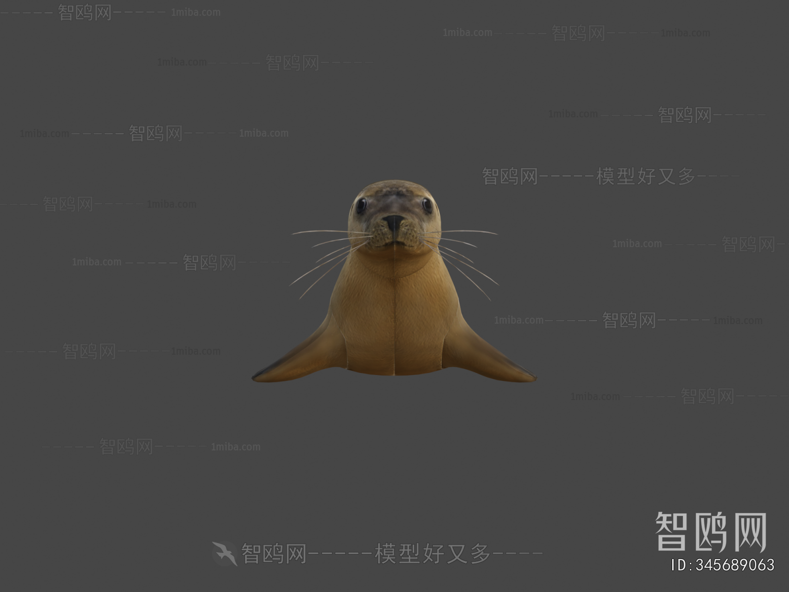 Modern Aquatic Animals