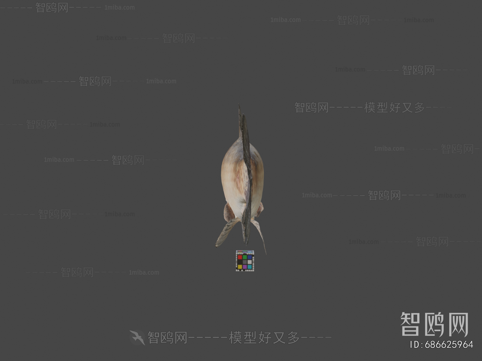 Modern Aquatic Animals
