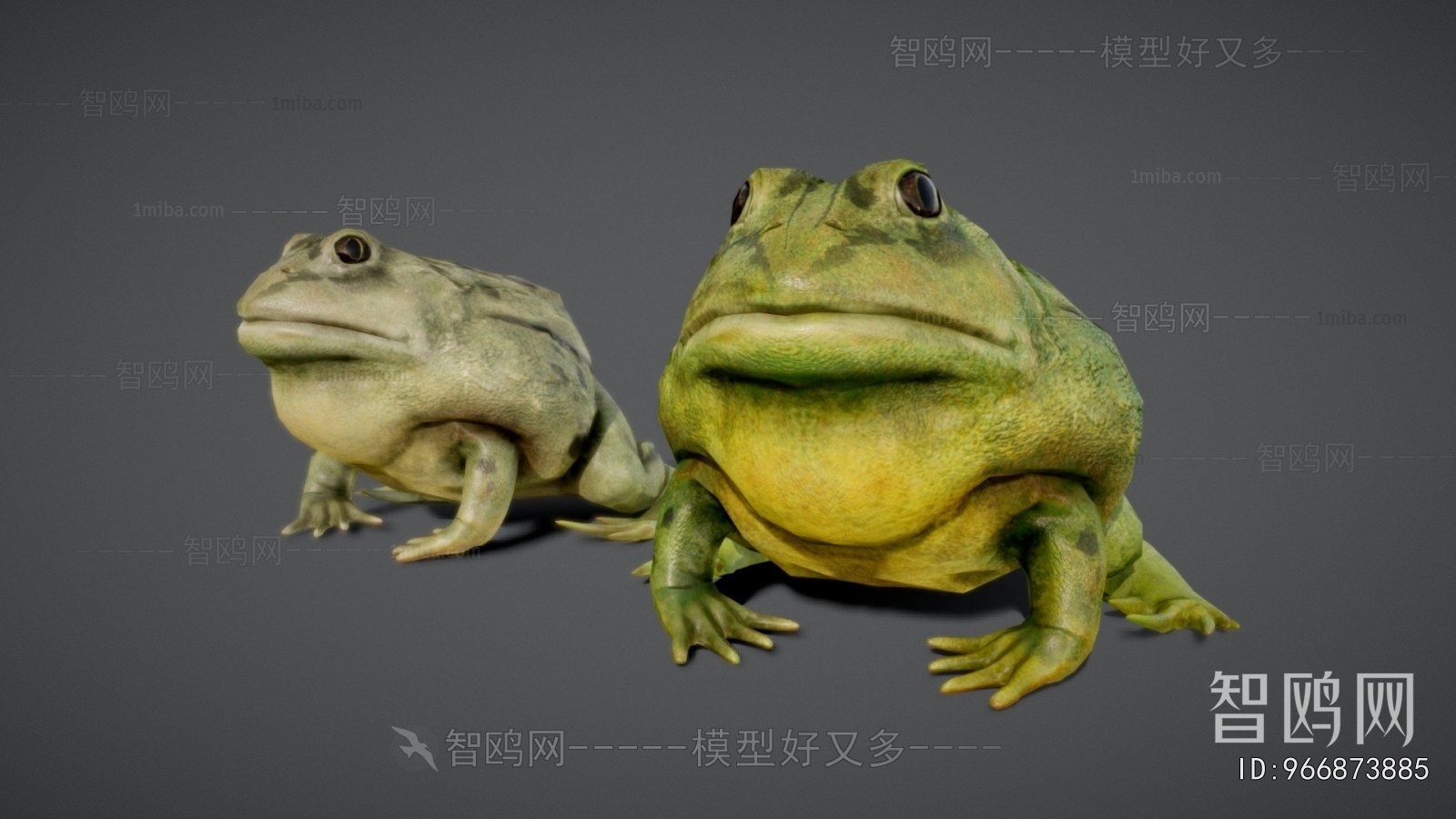 Modern Aquatic Animals