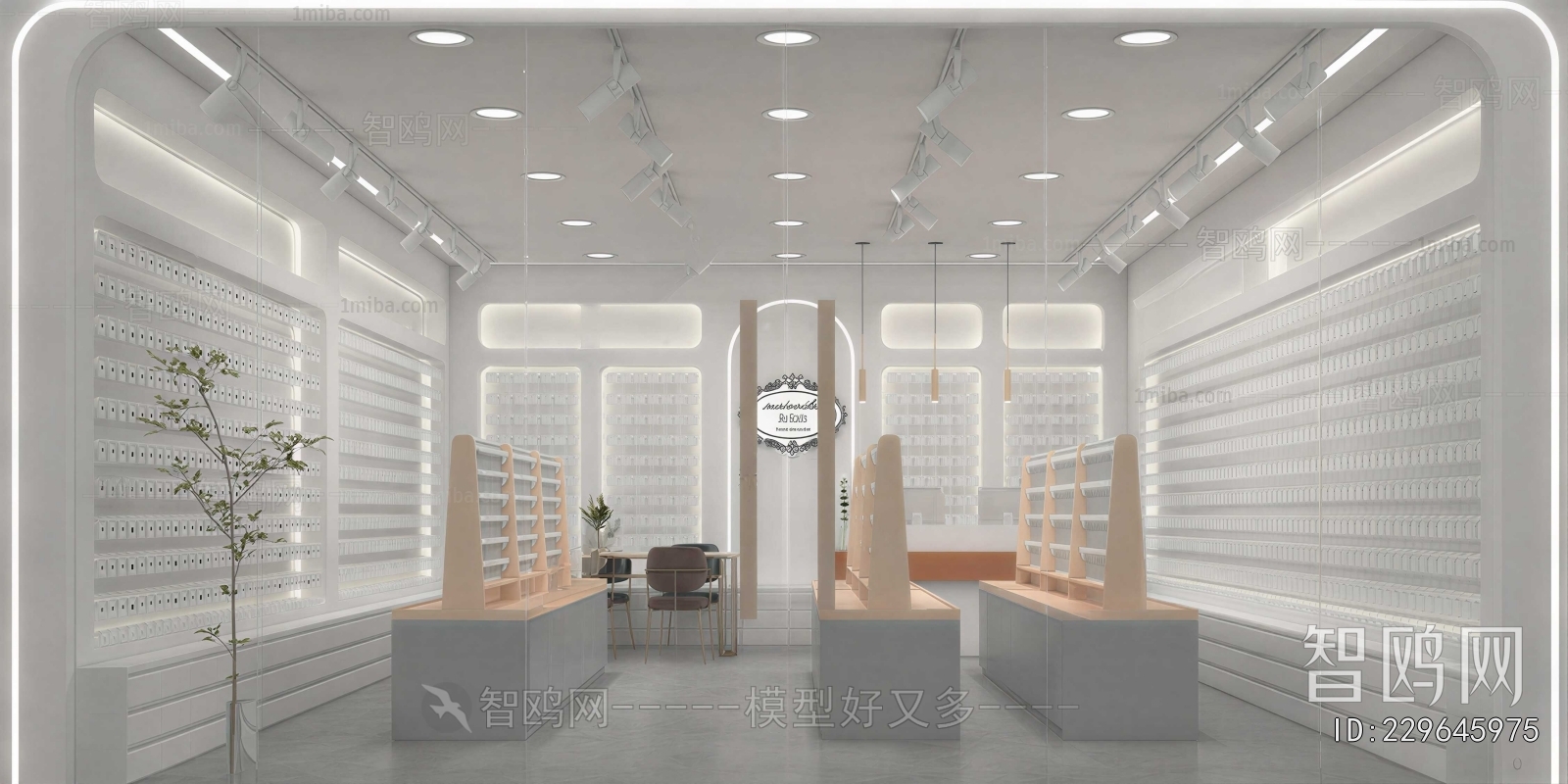 Modern Optical Shop