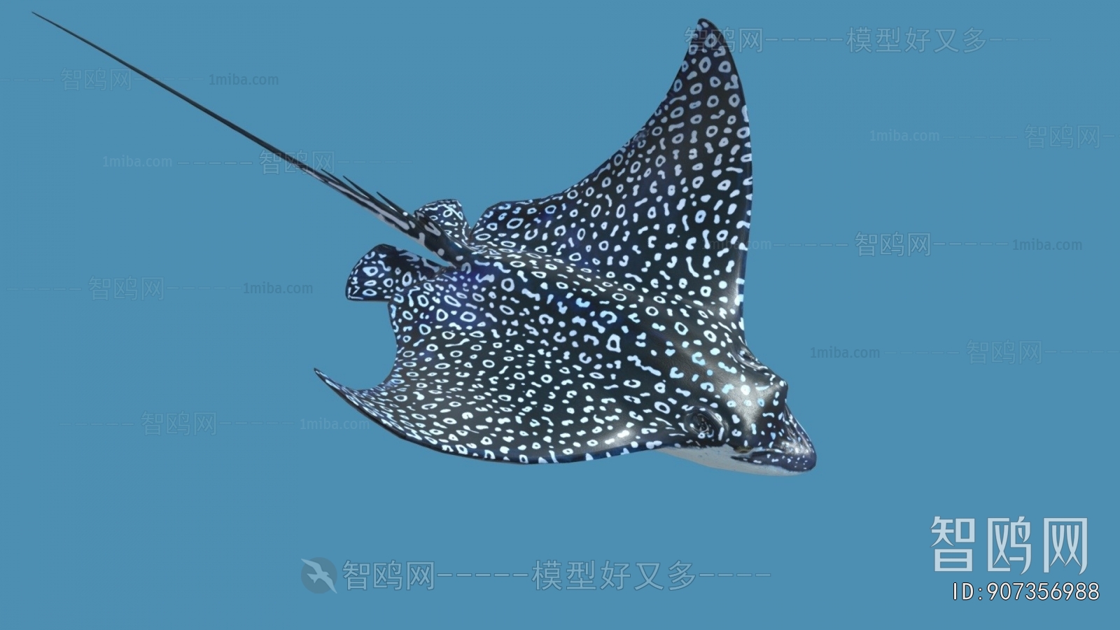 Modern Aquatic Animals