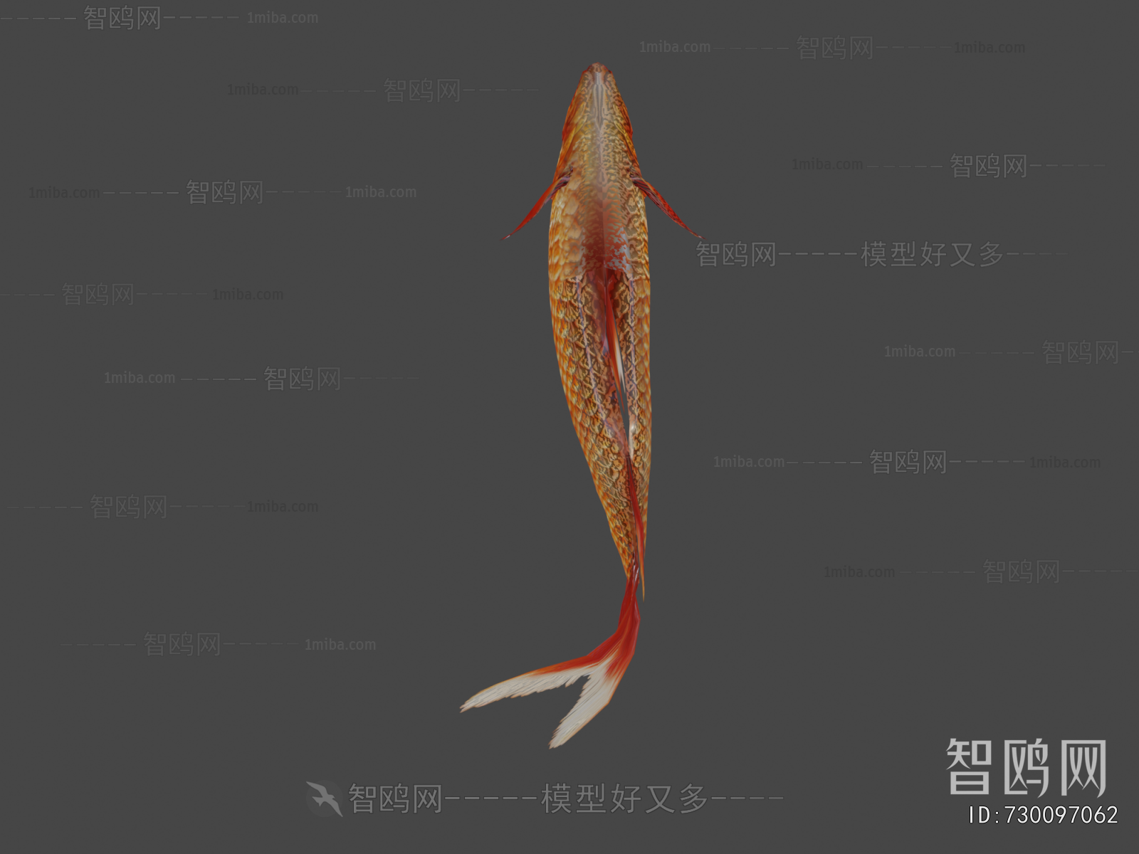 Modern Aquatic Animals