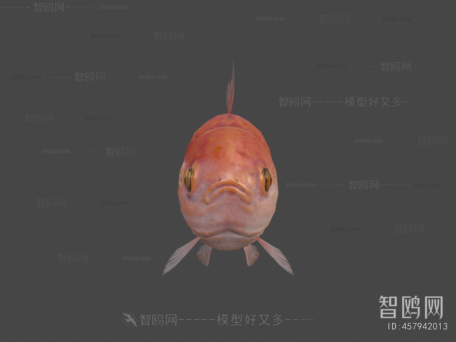 Modern Aquatic Animals