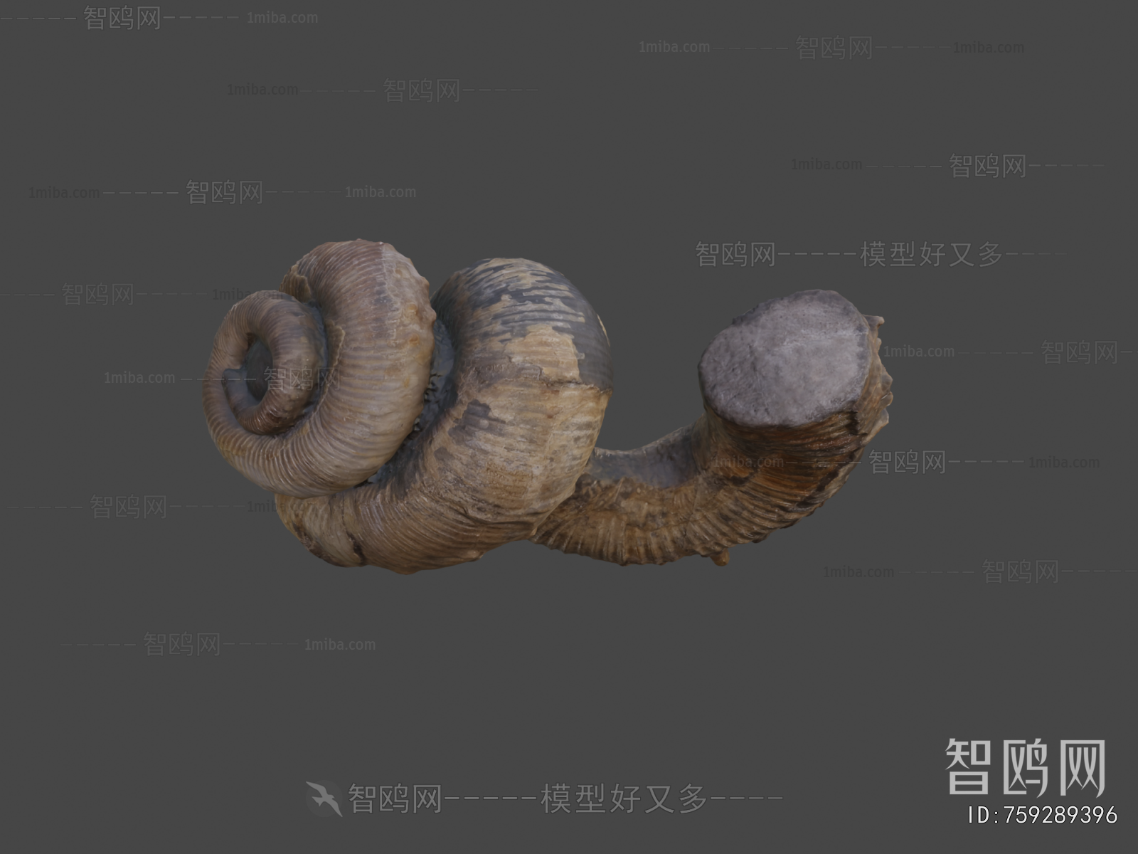 Modern Animal