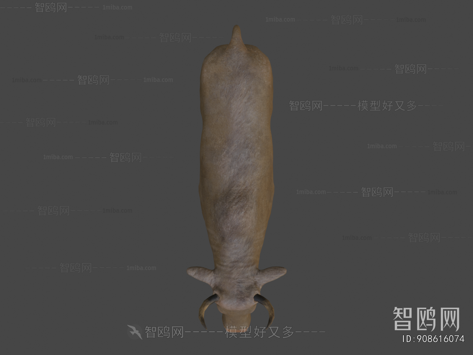 Modern Mammal