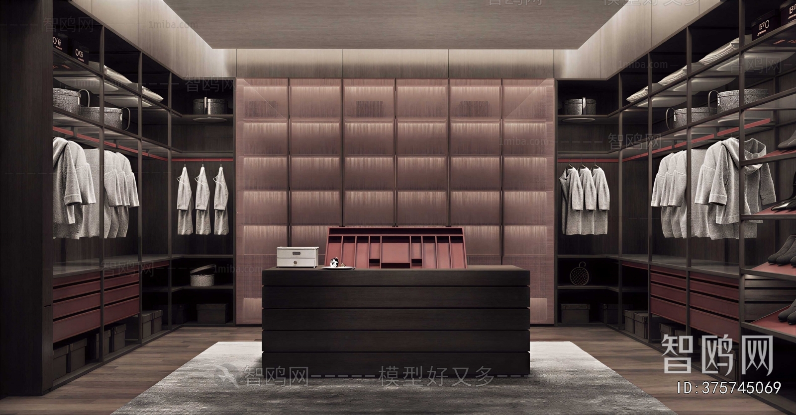 Modern Clothes Storage Area
