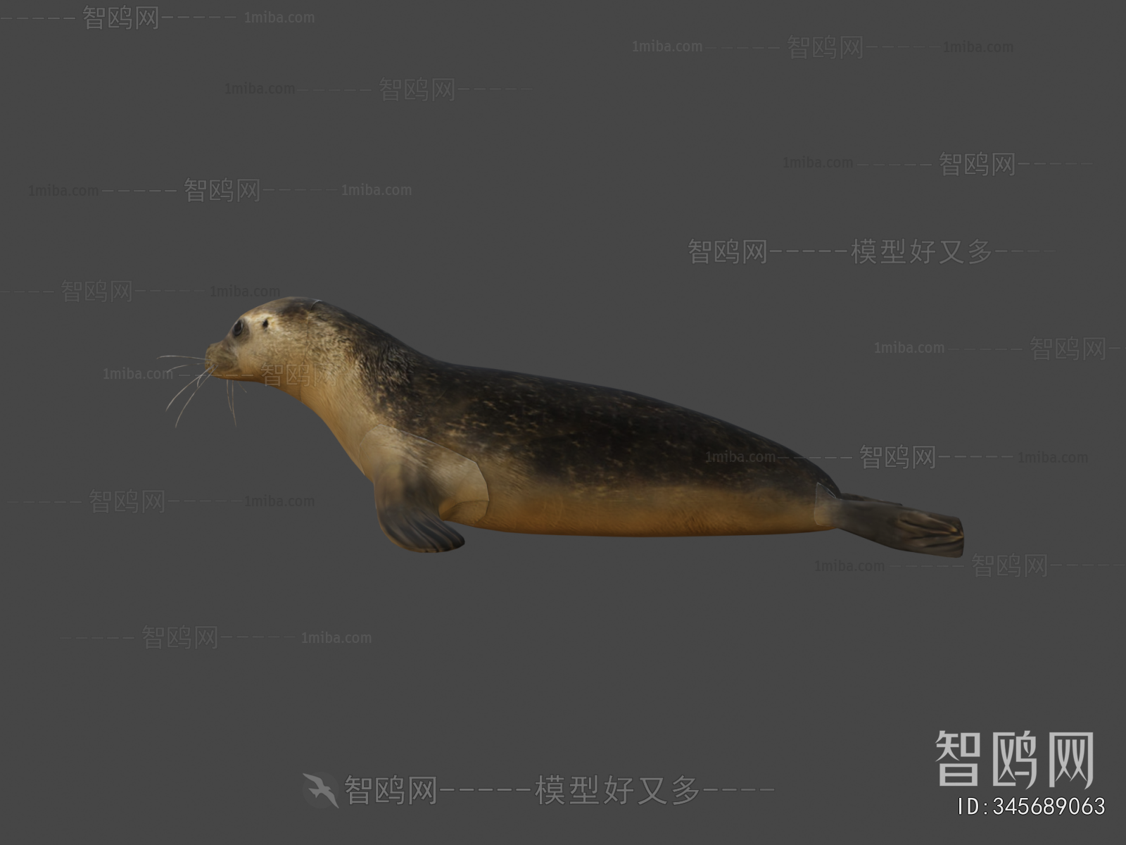 Modern Aquatic Animals