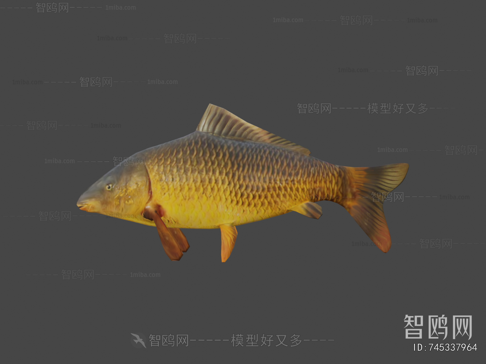 Modern Aquatic Animals