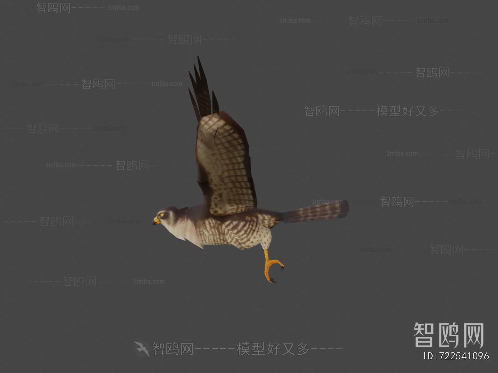 Modern Flying Animals
