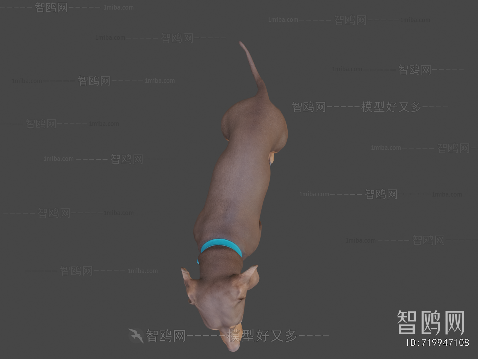 Modern Animal