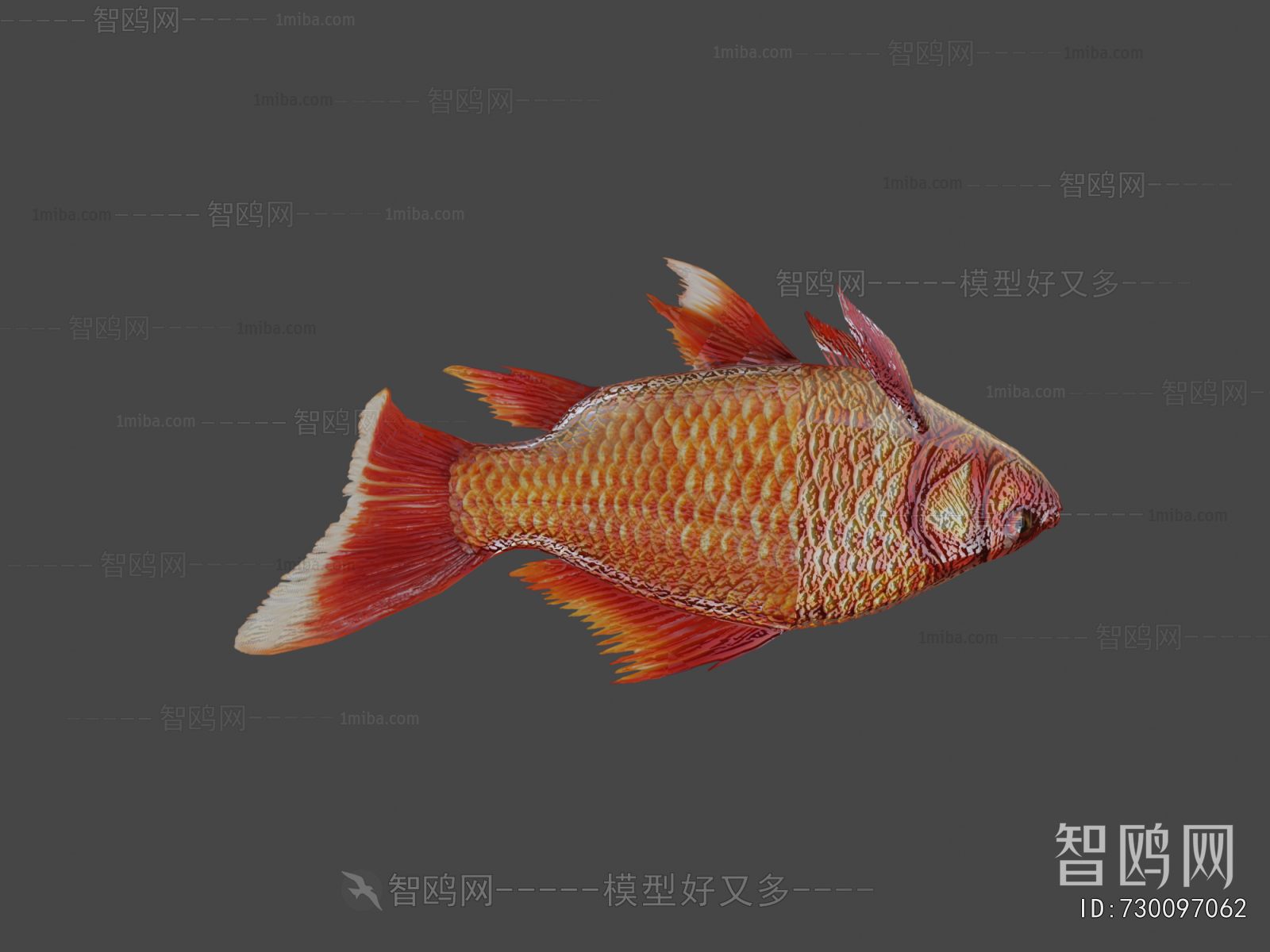 Modern Aquatic Animals