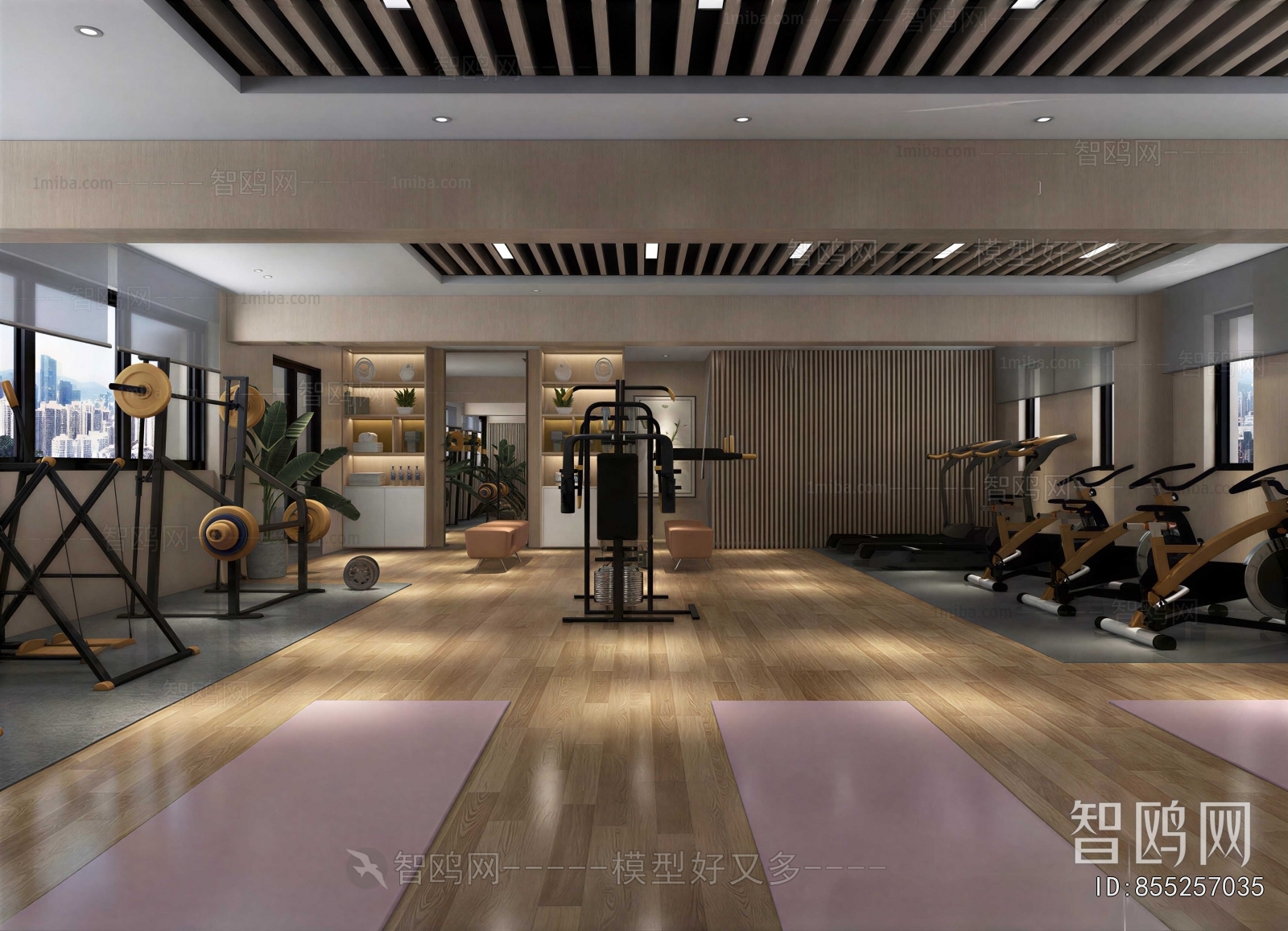 Modern Gym