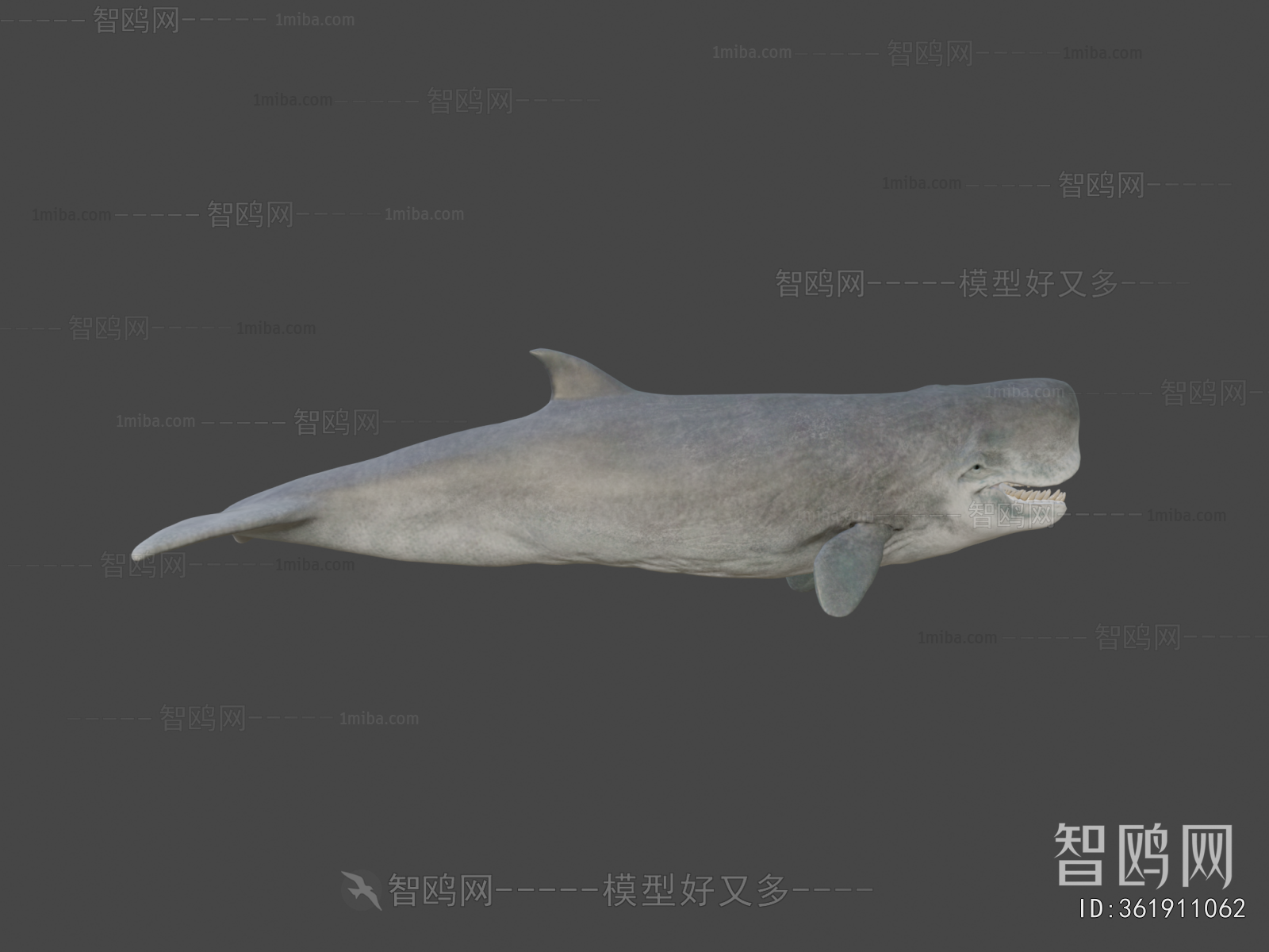 Modern Aquatic Animals