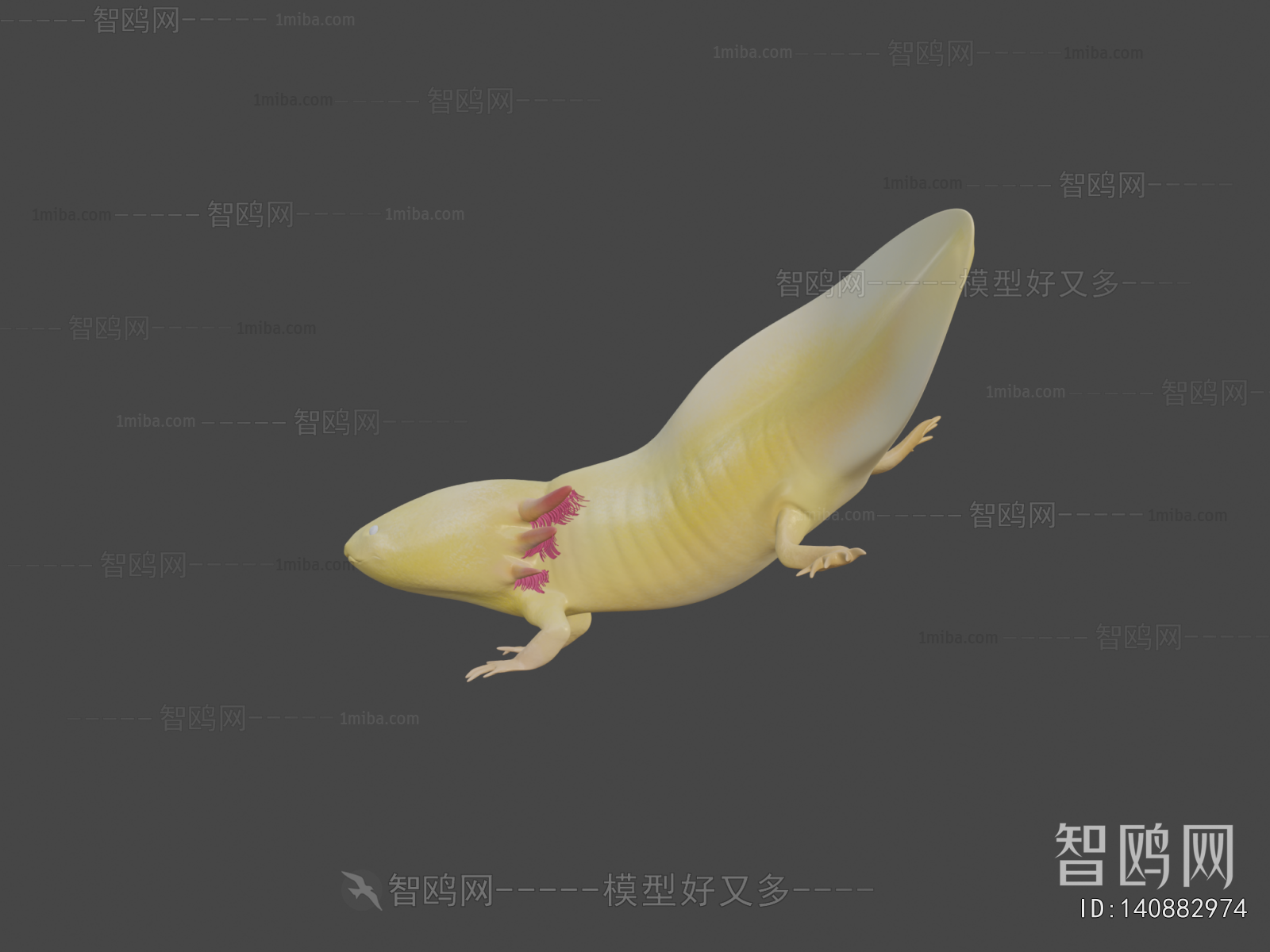 Modern Aquatic Animals