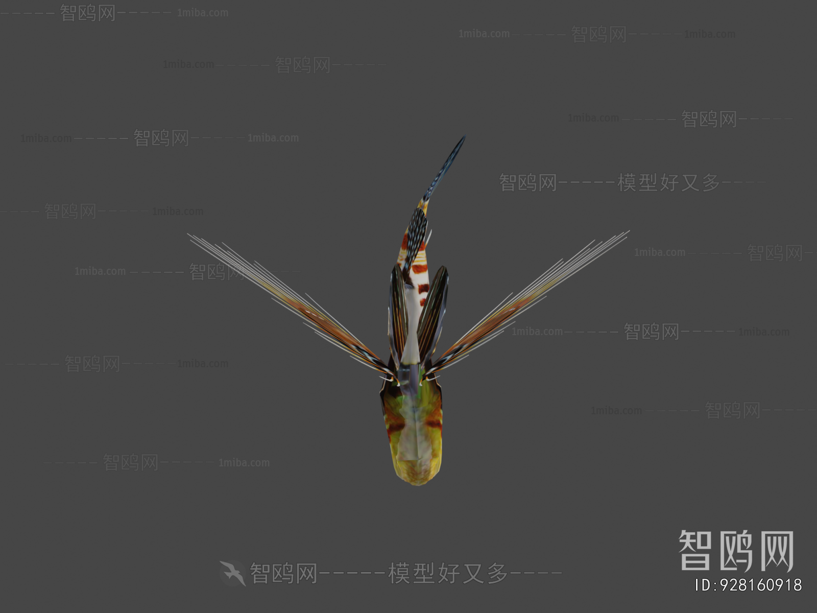 Modern Animal