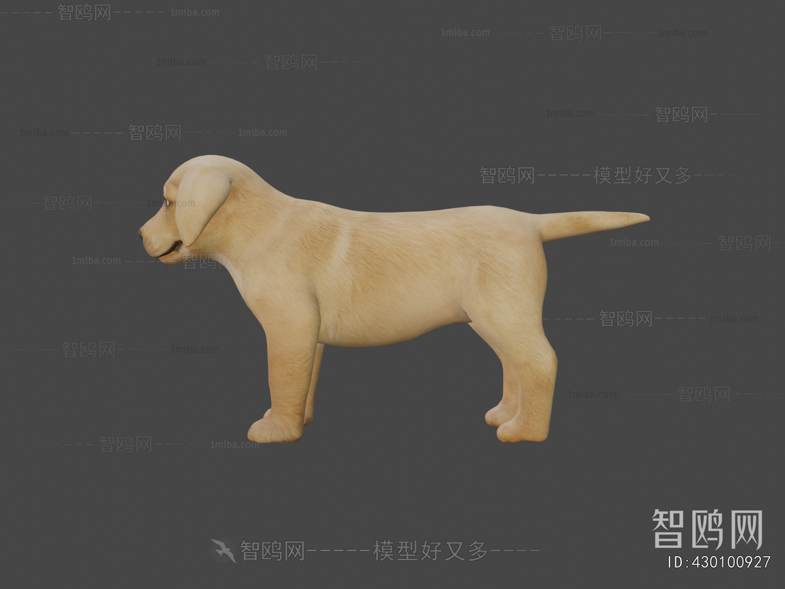 Modern Animal