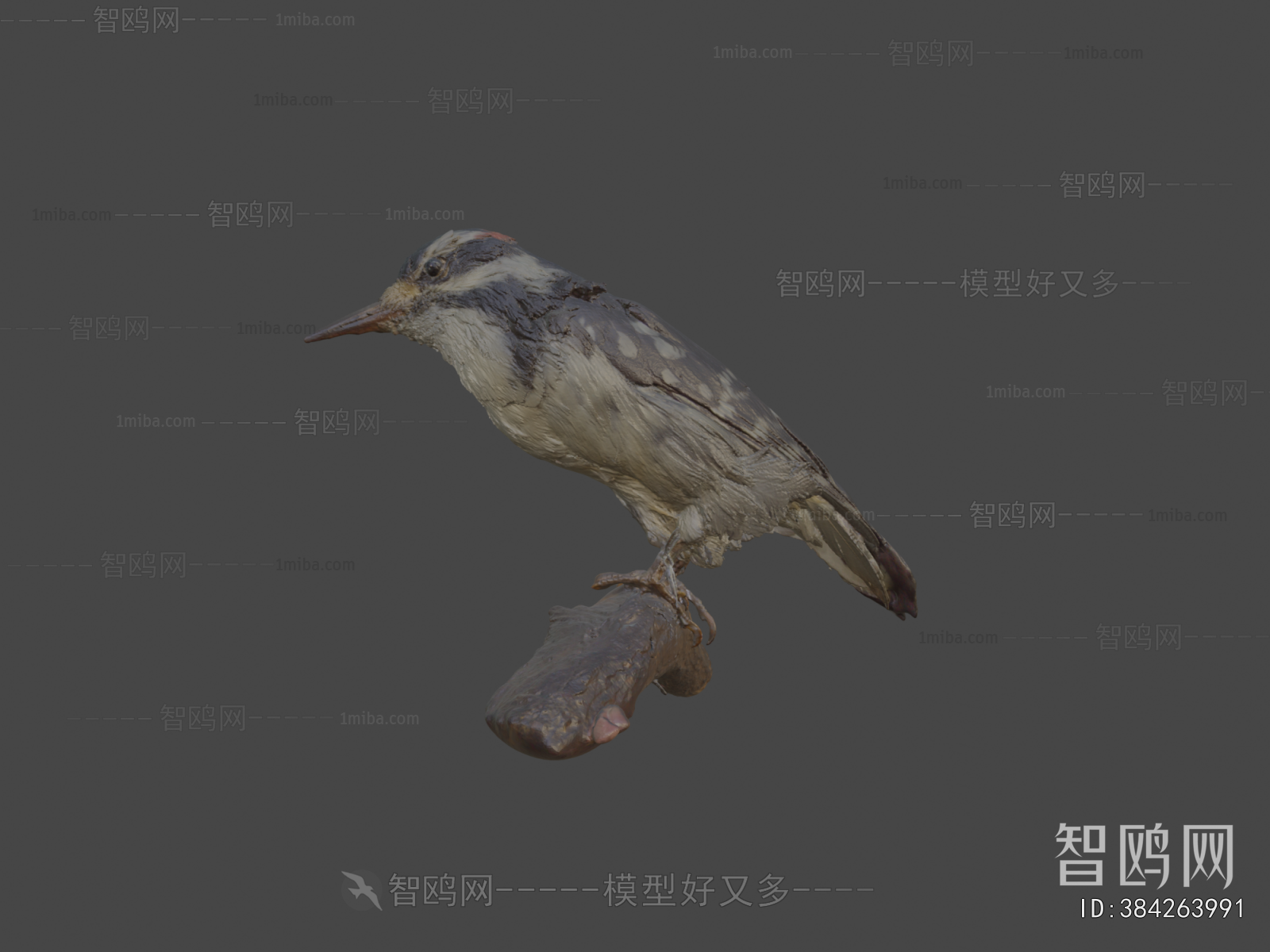 Modern Flying Animals