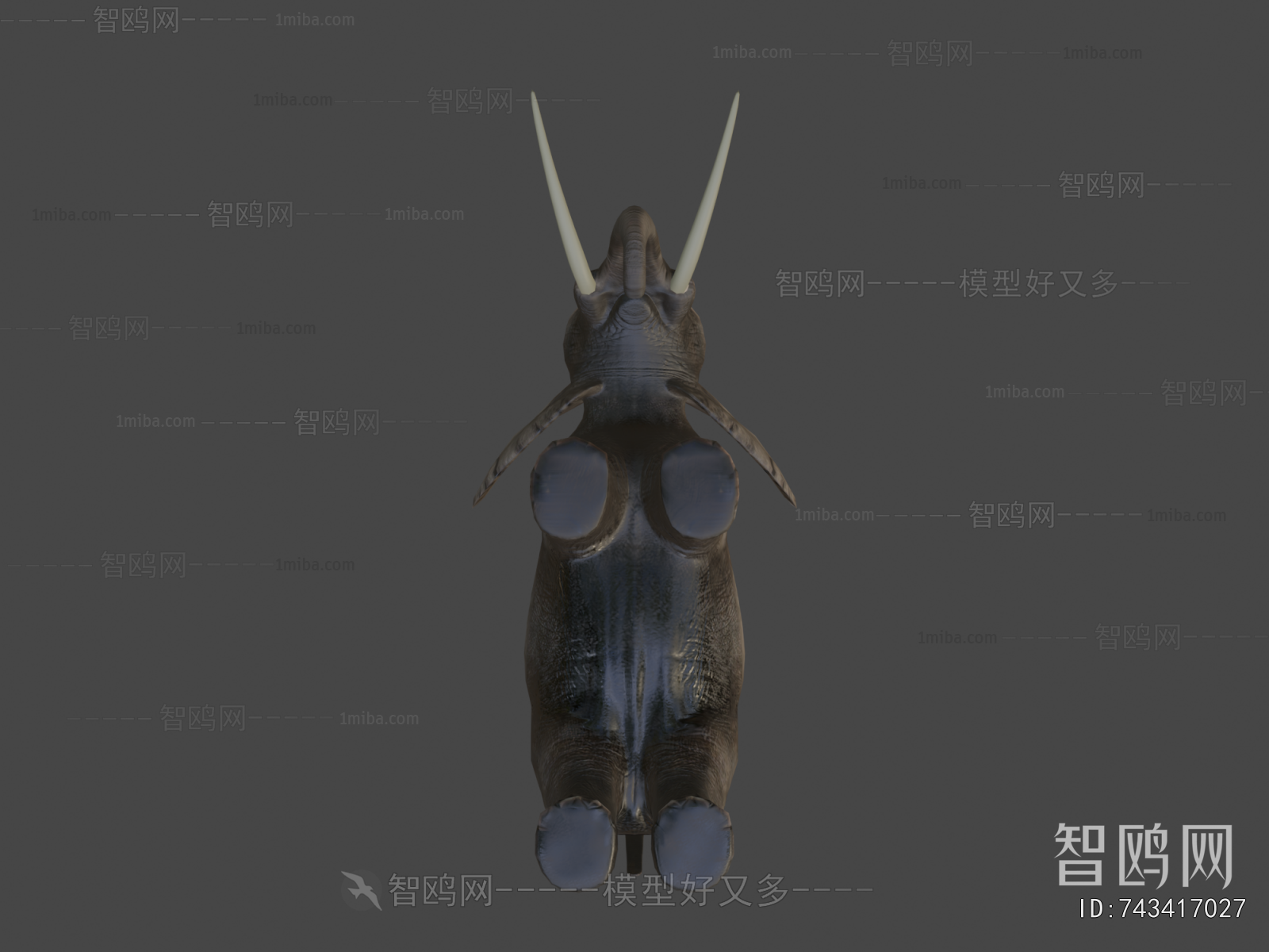 Modern Animal