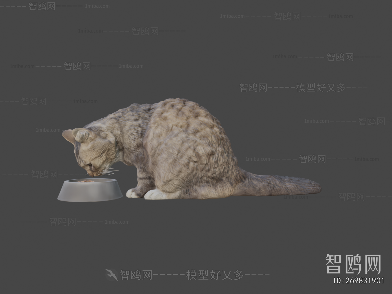 Modern Animal Cat