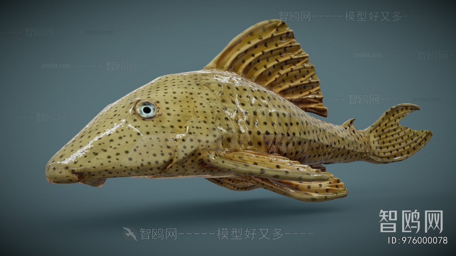 Modern Aquatic Product