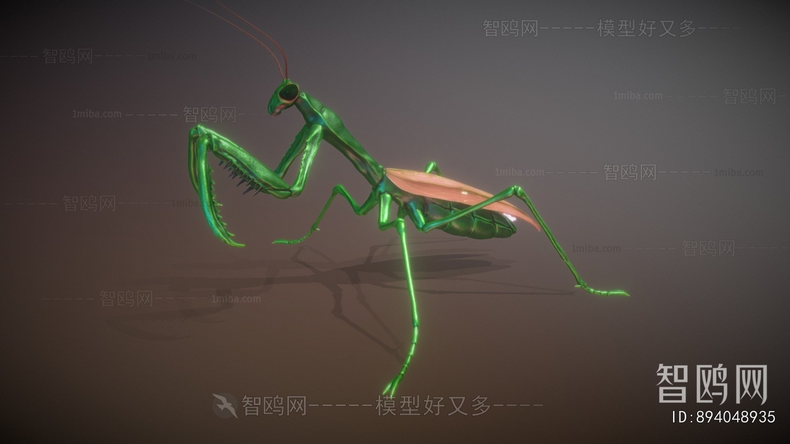Modern Animal