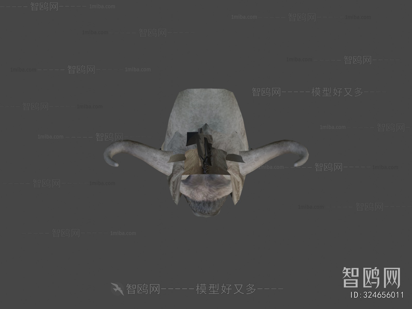 Modern Mammal