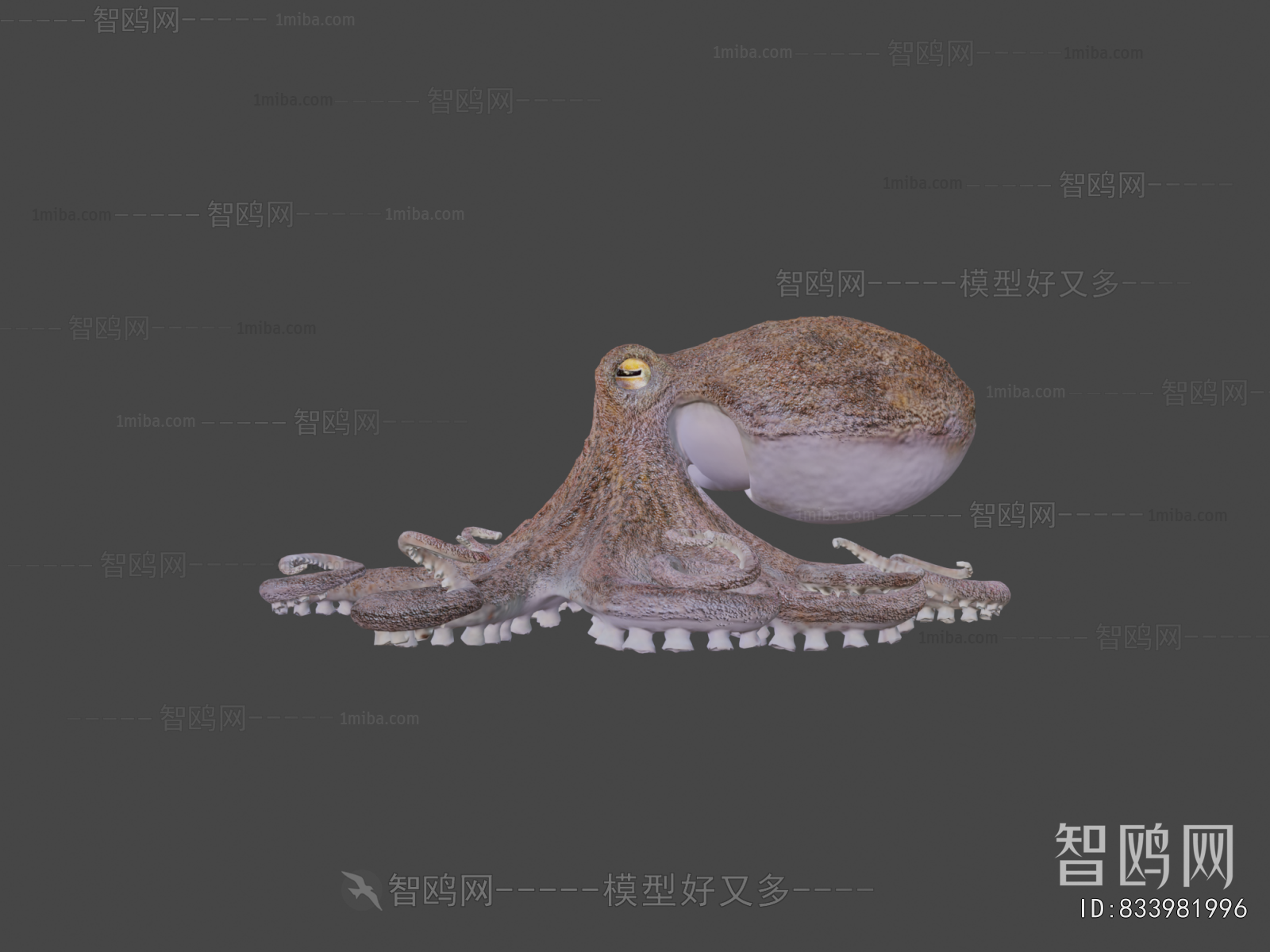 Modern Aquatic Animals