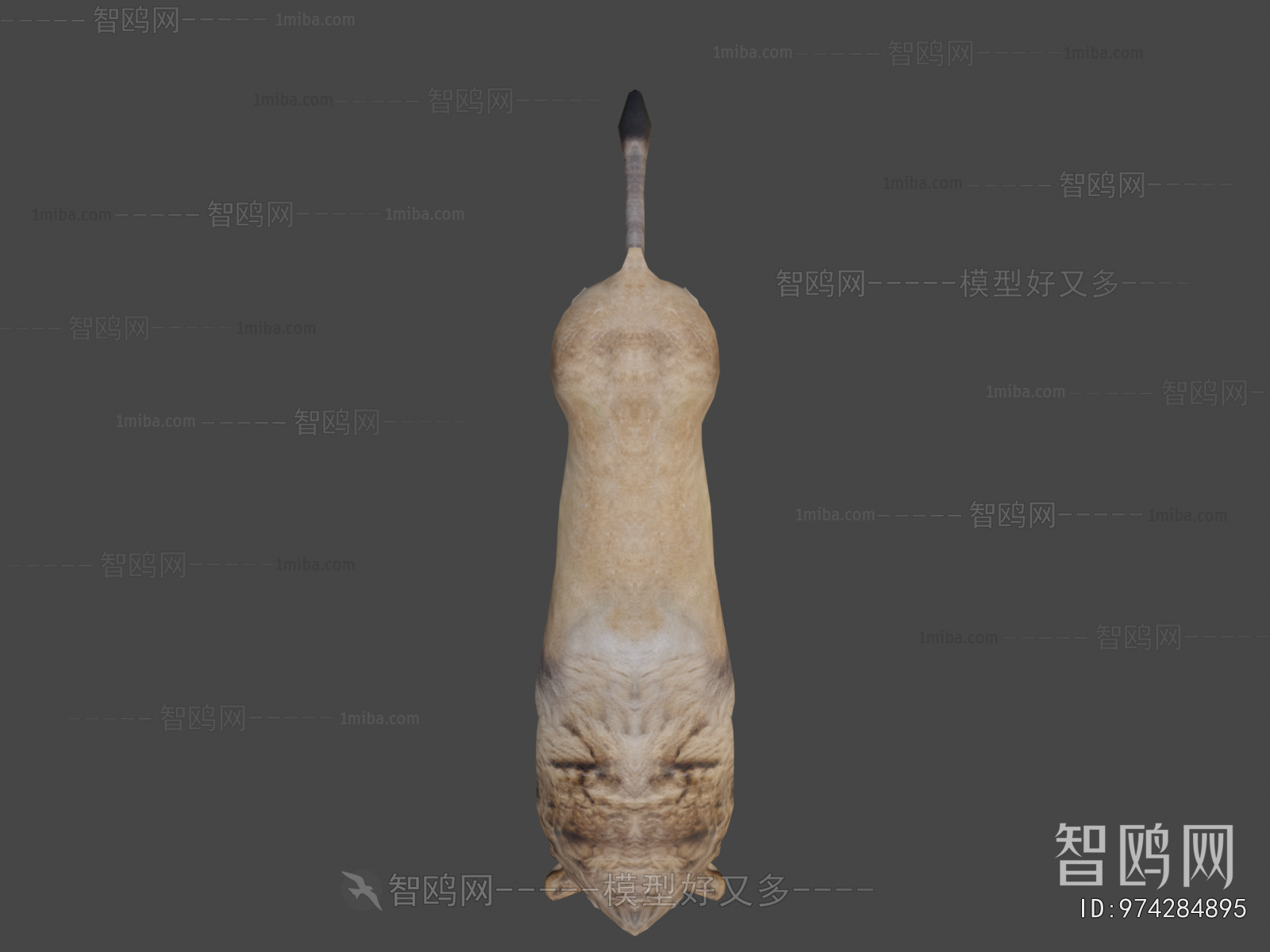 Modern Mammal