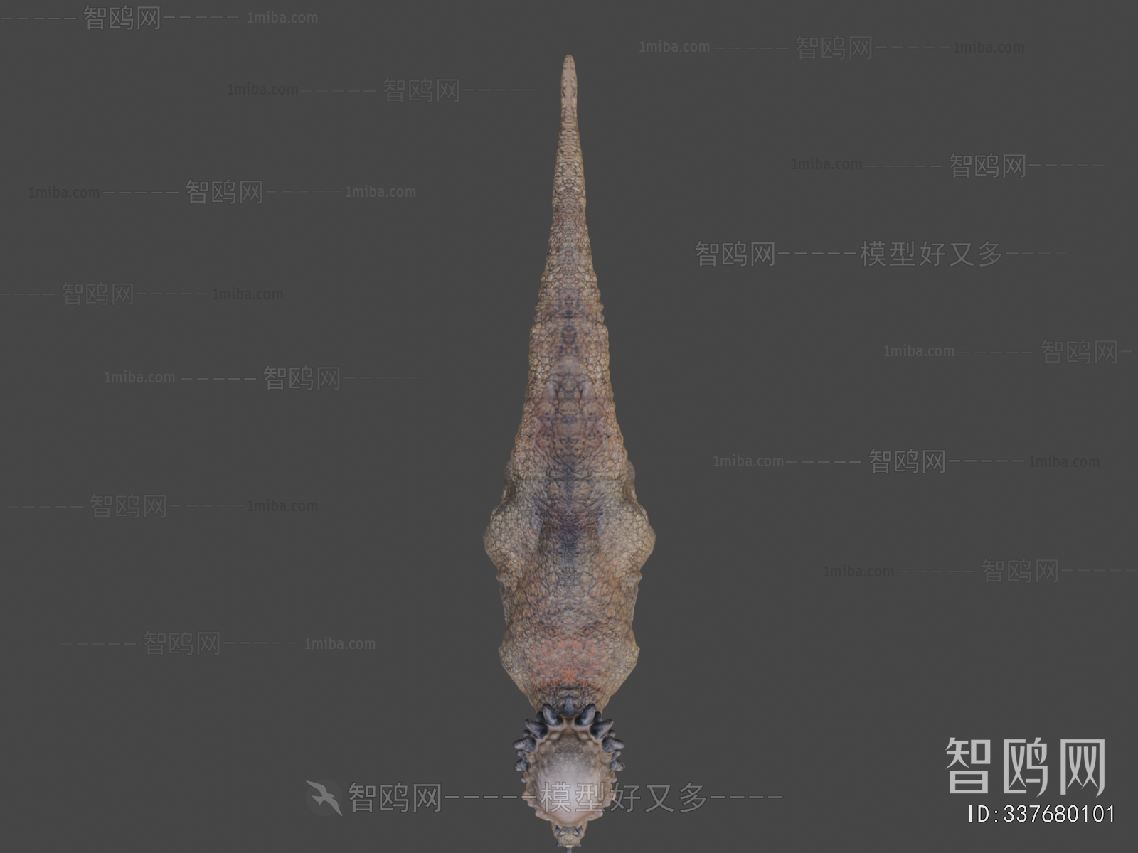 Modern Animal