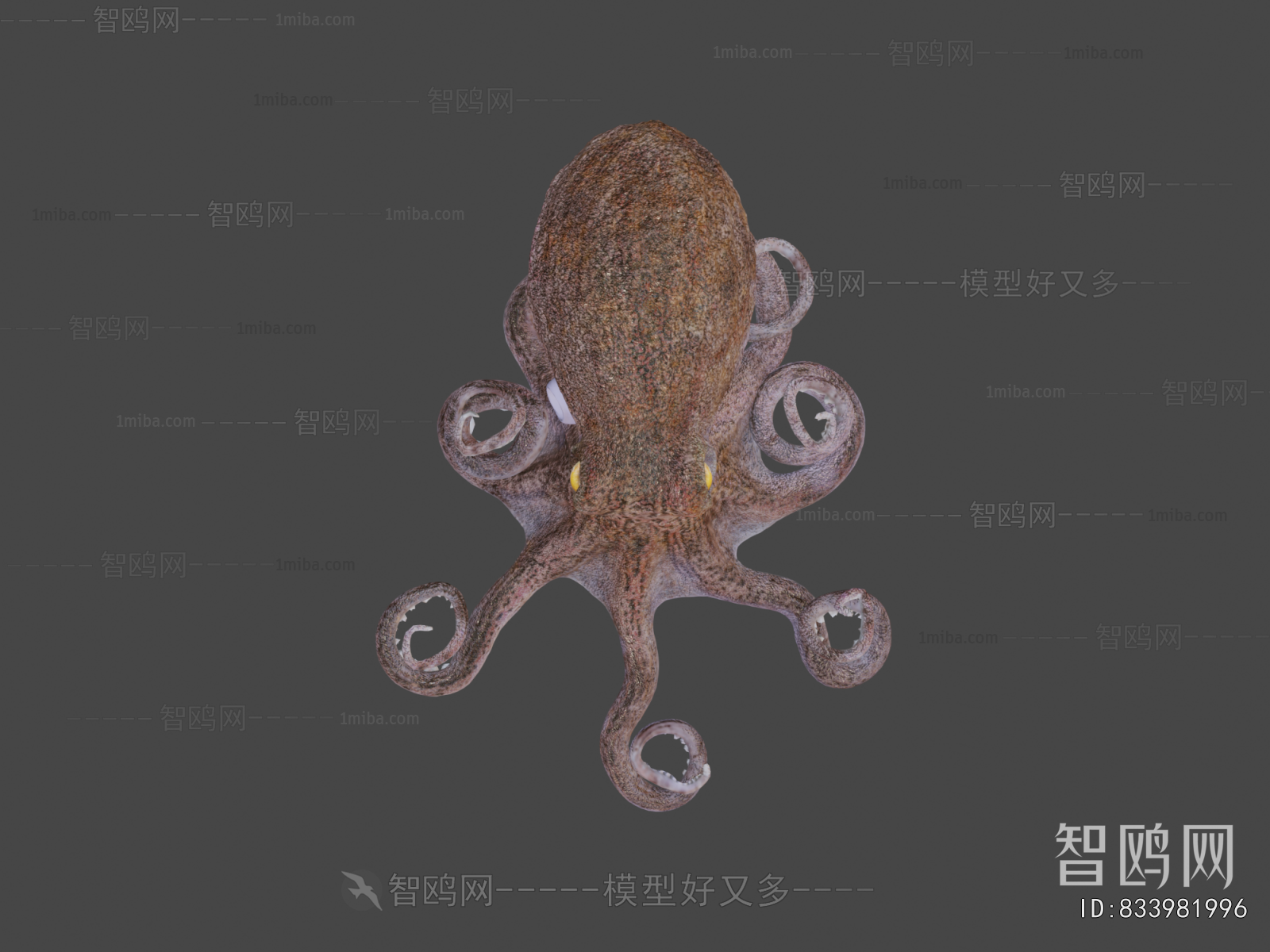 Modern Aquatic Animals