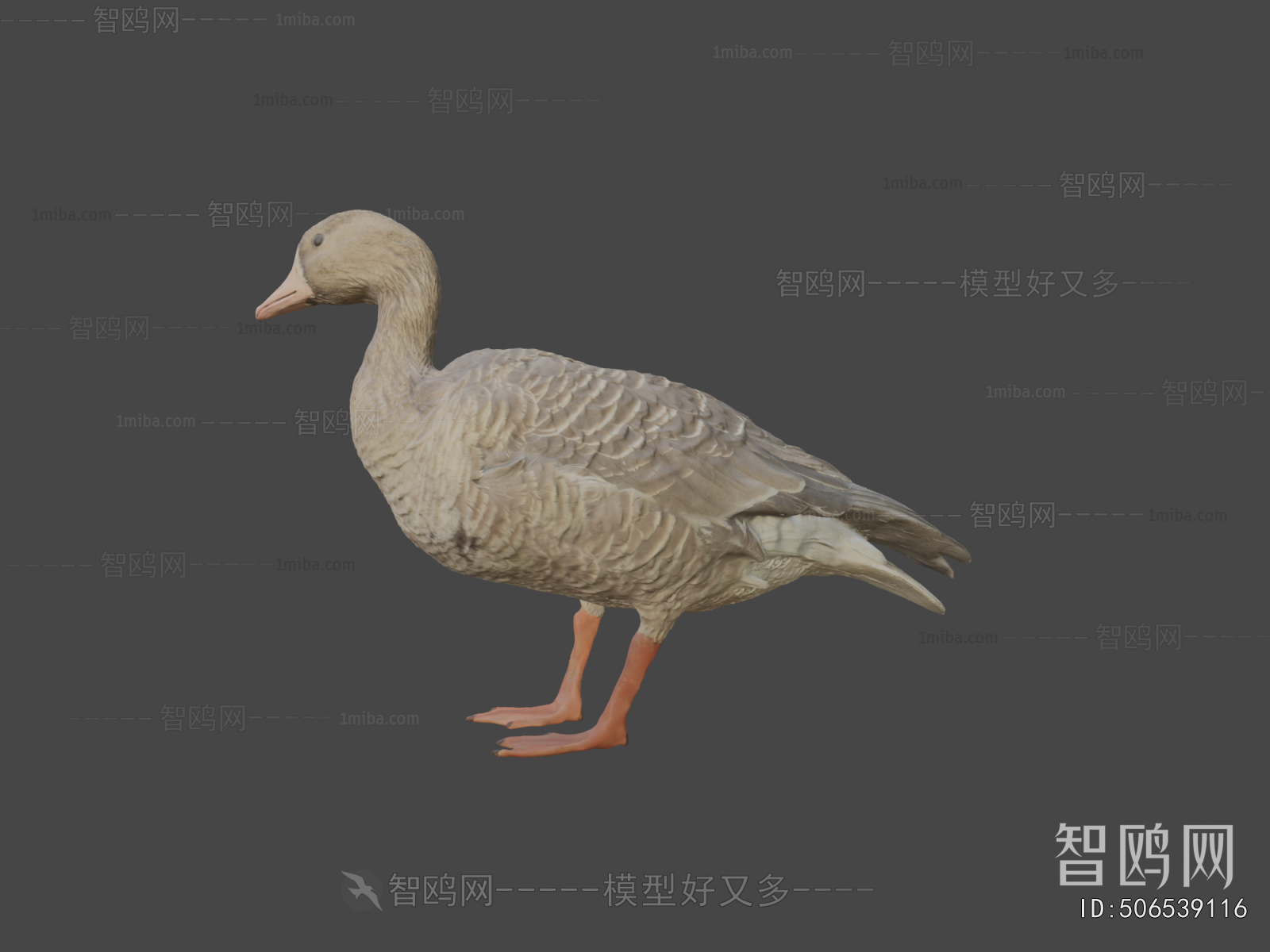 Modern Animal