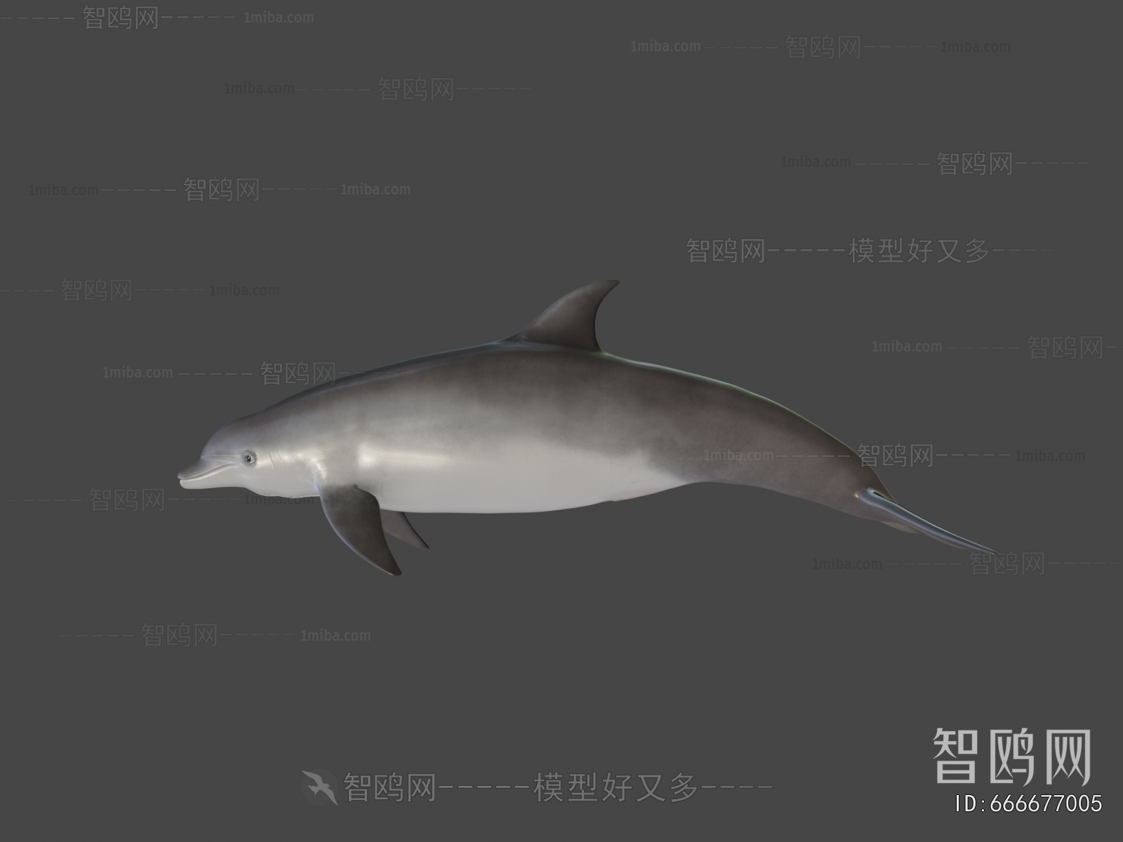 Modern Aquatic Animals