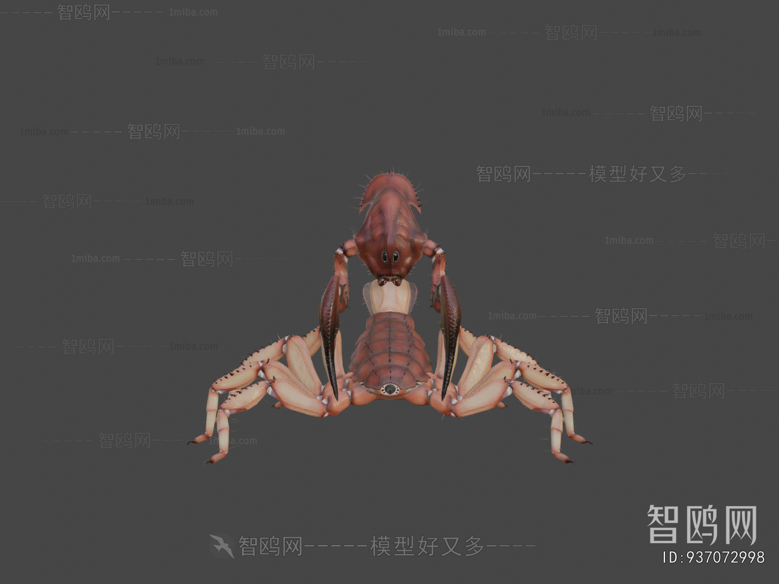 Modern Animal