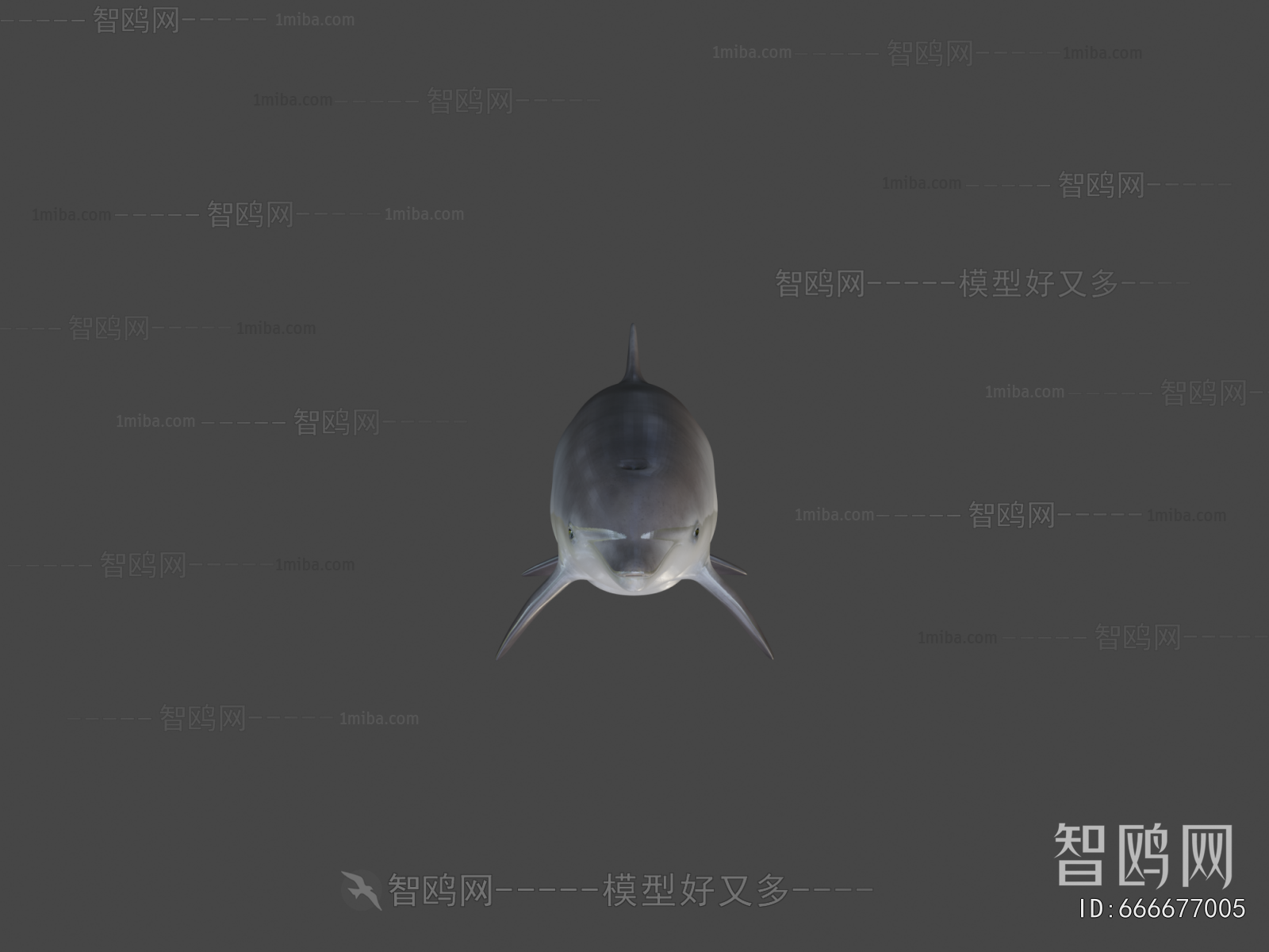 Modern Aquatic Animals