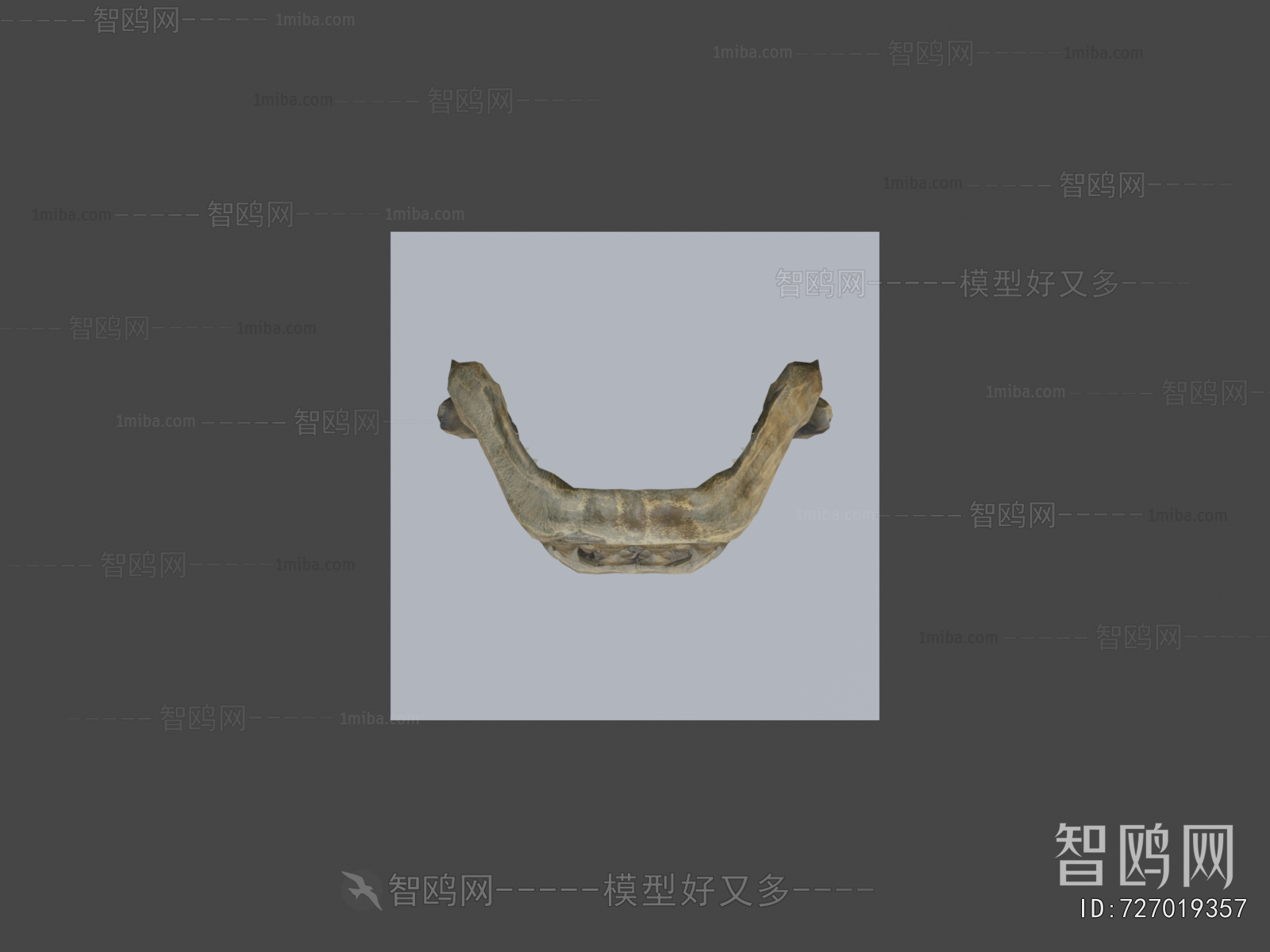 Modern Medical Equipment