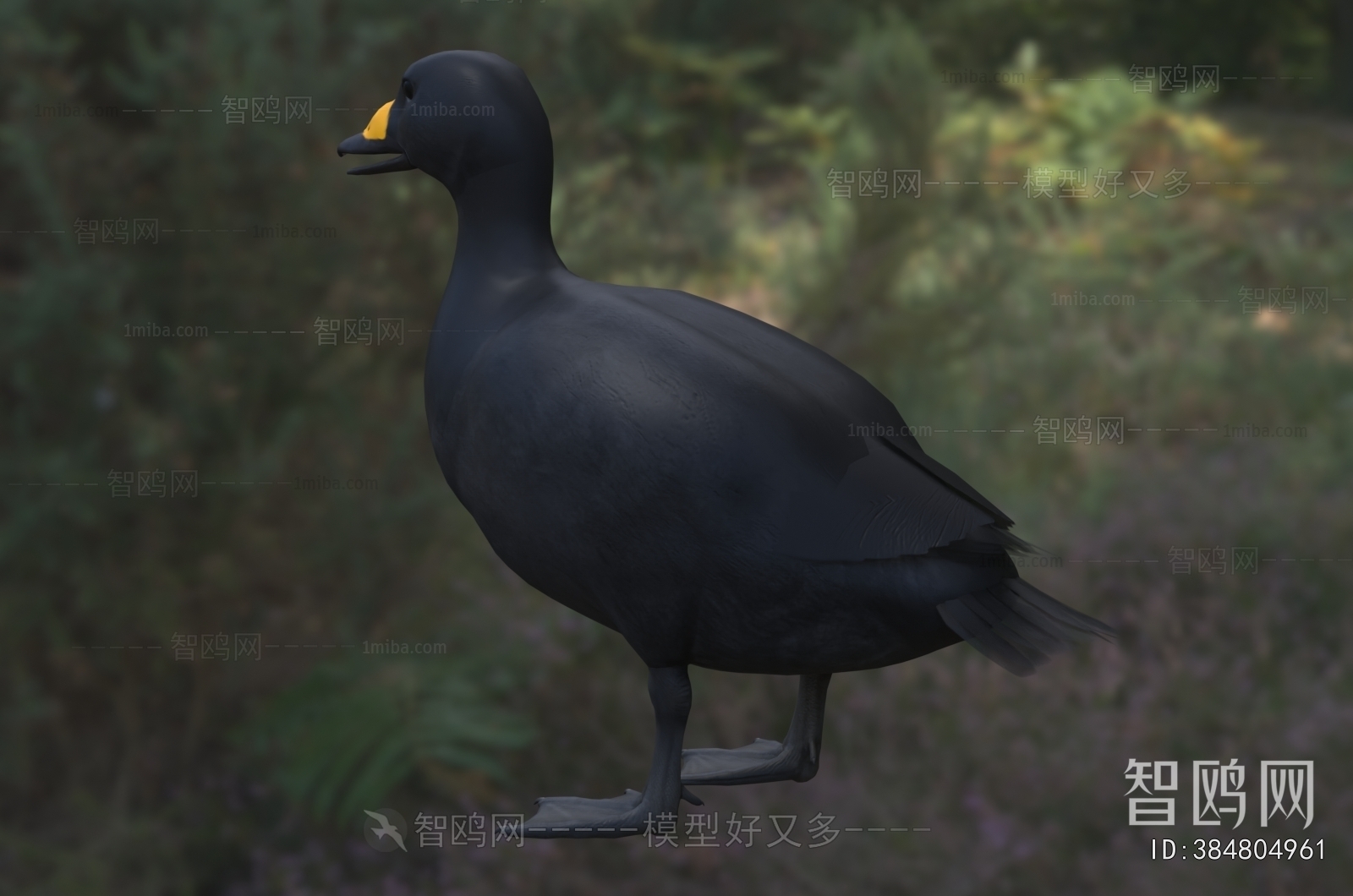 Modern Other Animals