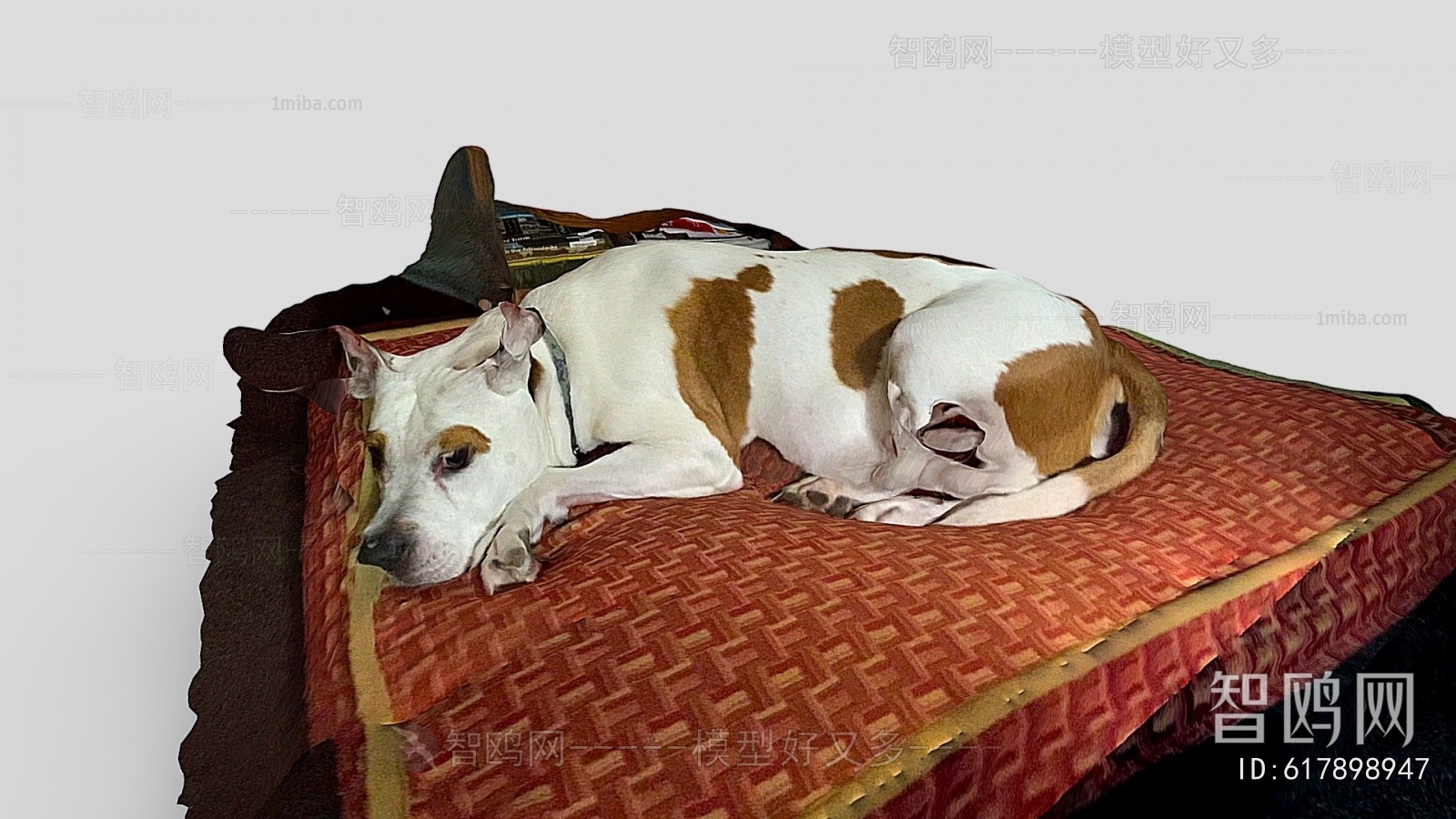 Modern Animal Dog