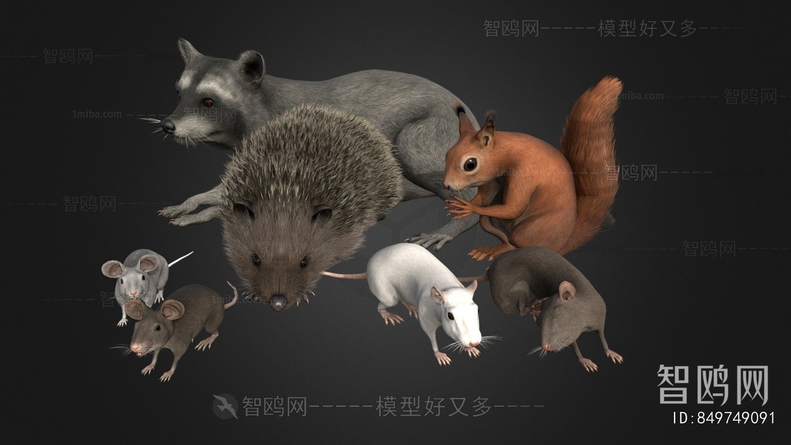 Modern Animal