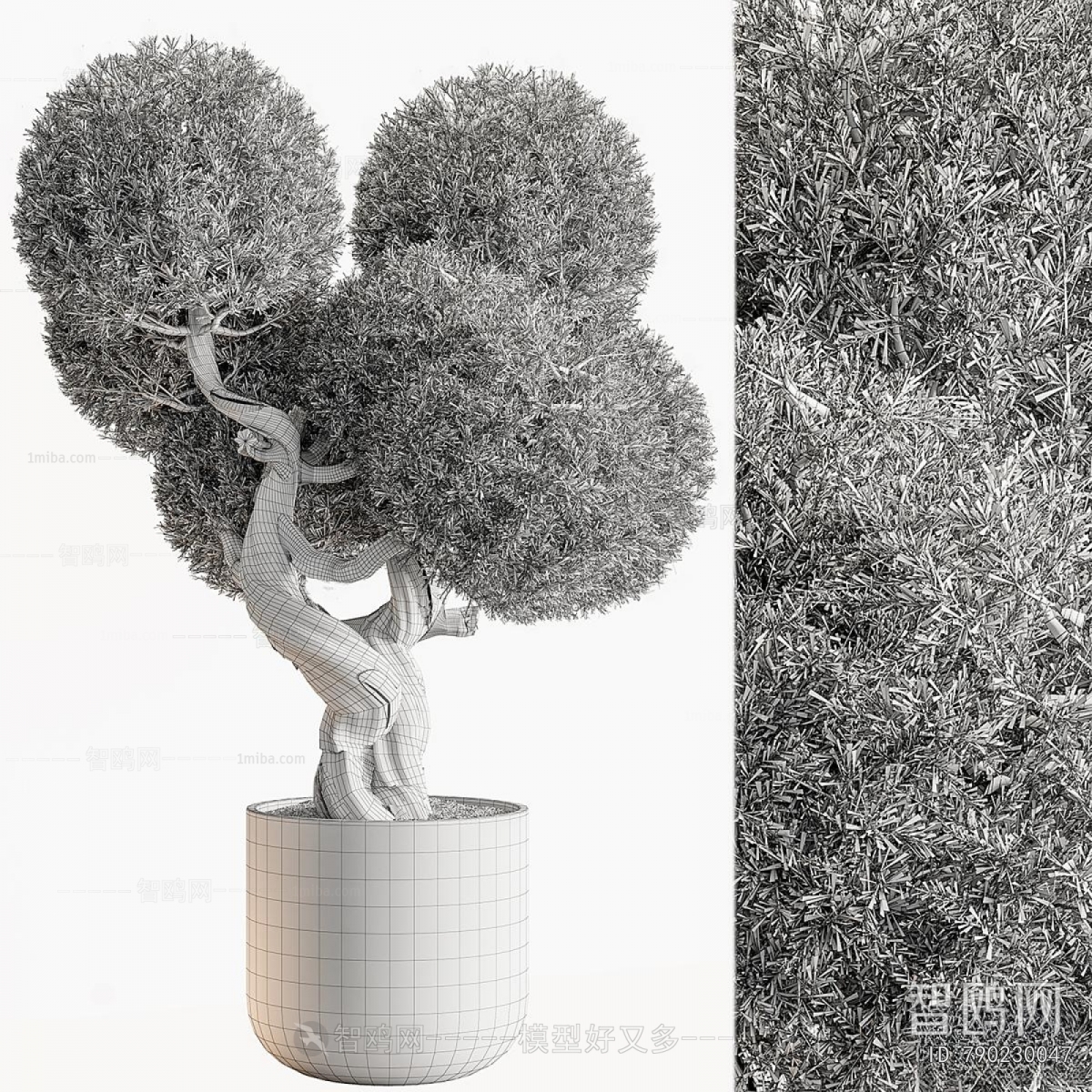 Modern Ground Green Plant Potted Plants