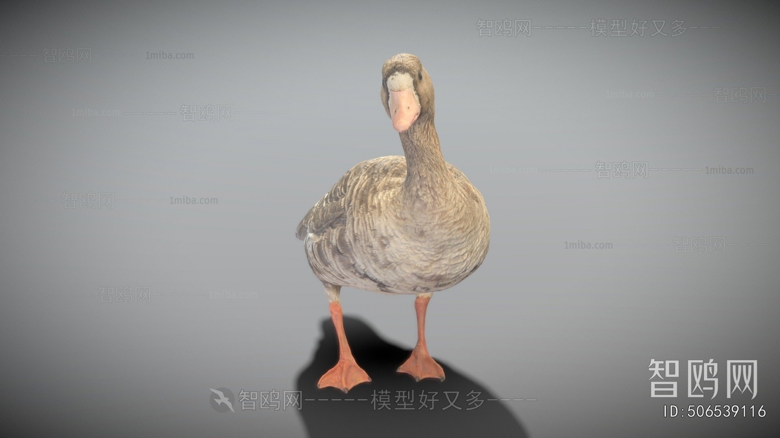 Modern Animal